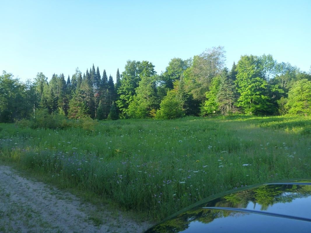 Oooo Oooo Ford Lake Road Germfask, MI 49836 - Photo 2 of 10 Gallery Image 2