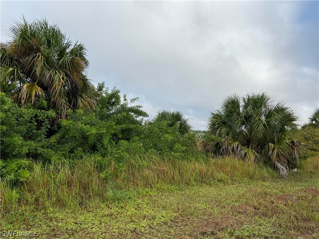 2201 Park Road Lehigh Acres, FL 33971 - Photo 4 of 7 Gallery Image 4