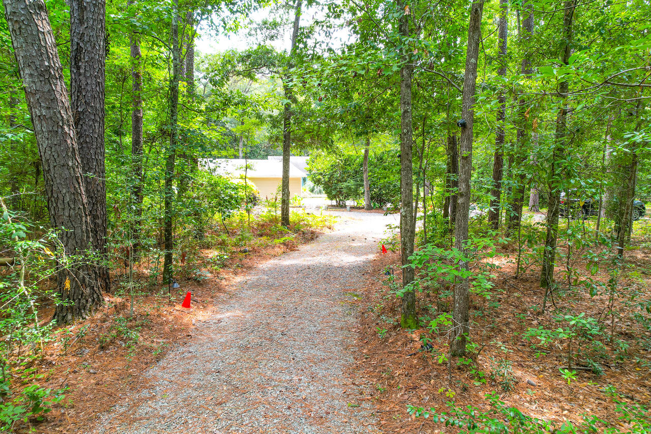 6313 Bears Bluff Road Wadmalaw Island, SC 29487 - Photo 27 of 27 5313 Bears Bluff -Tidalcreekphoto- (72)