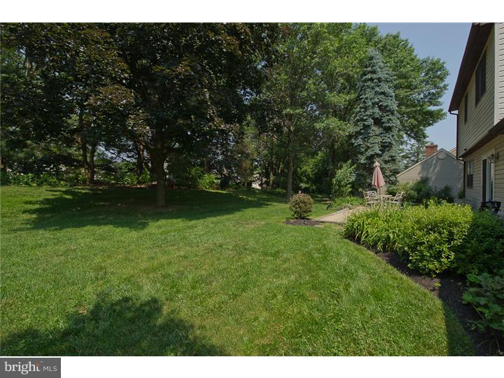 88 Signal Hill Road Holland, PA 18966 - Photo 23 of 25 Back Yard