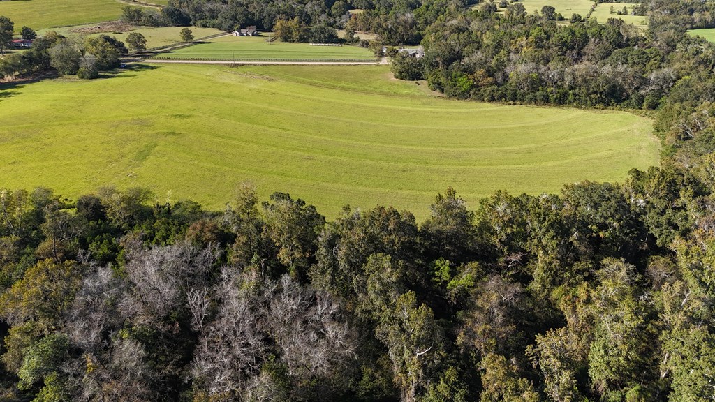 Lot 4 Battles Road Dothan, AL 36301 - Photo 3 of 5