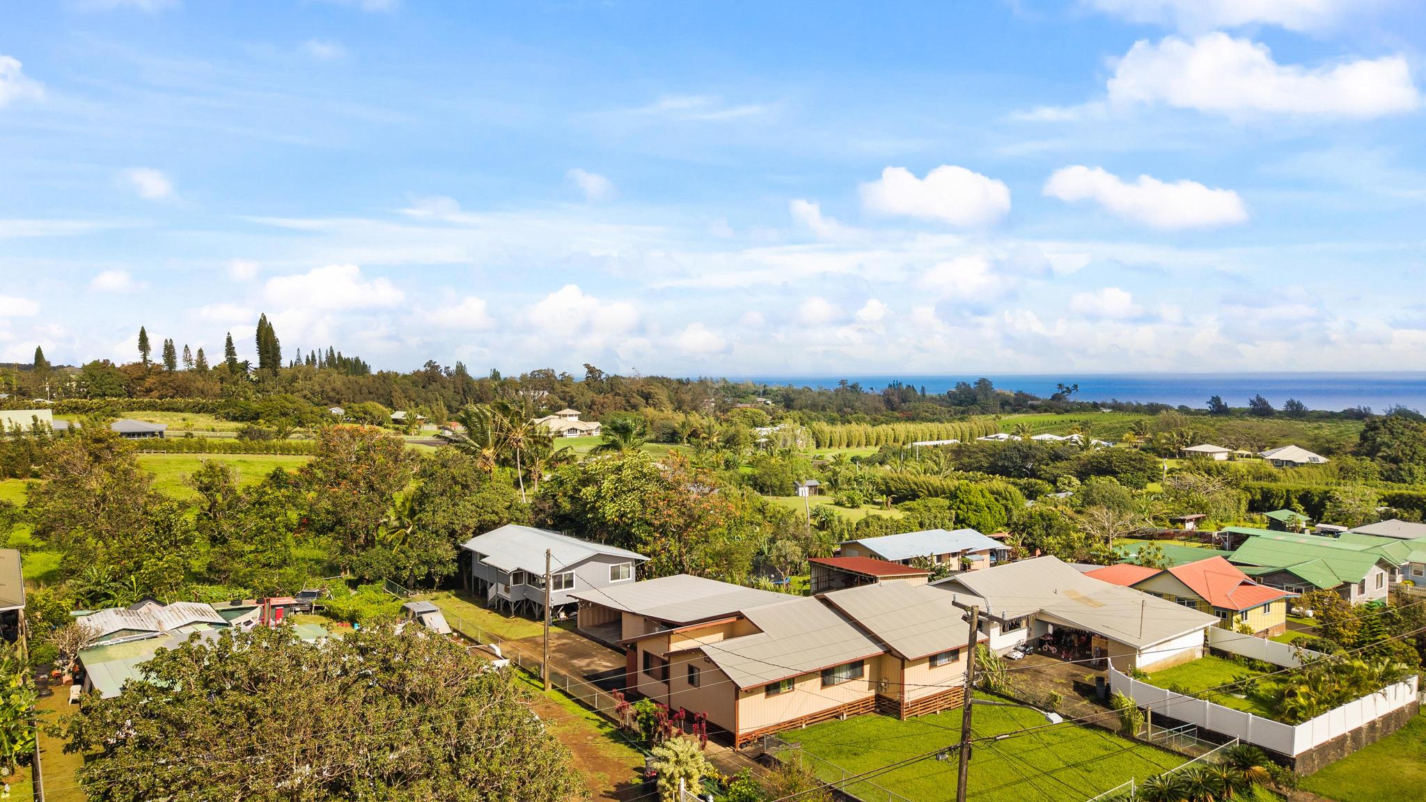 54-382 Union Mill Road Kapaau, HI 96755 - Photo 25 of 28 a view of a city