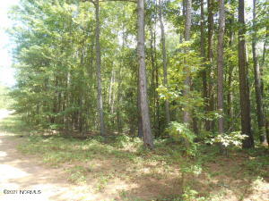 Lot#4 Blewett Falls Road Rockingham, NC 28379 - Photo 1 of 1 Main View