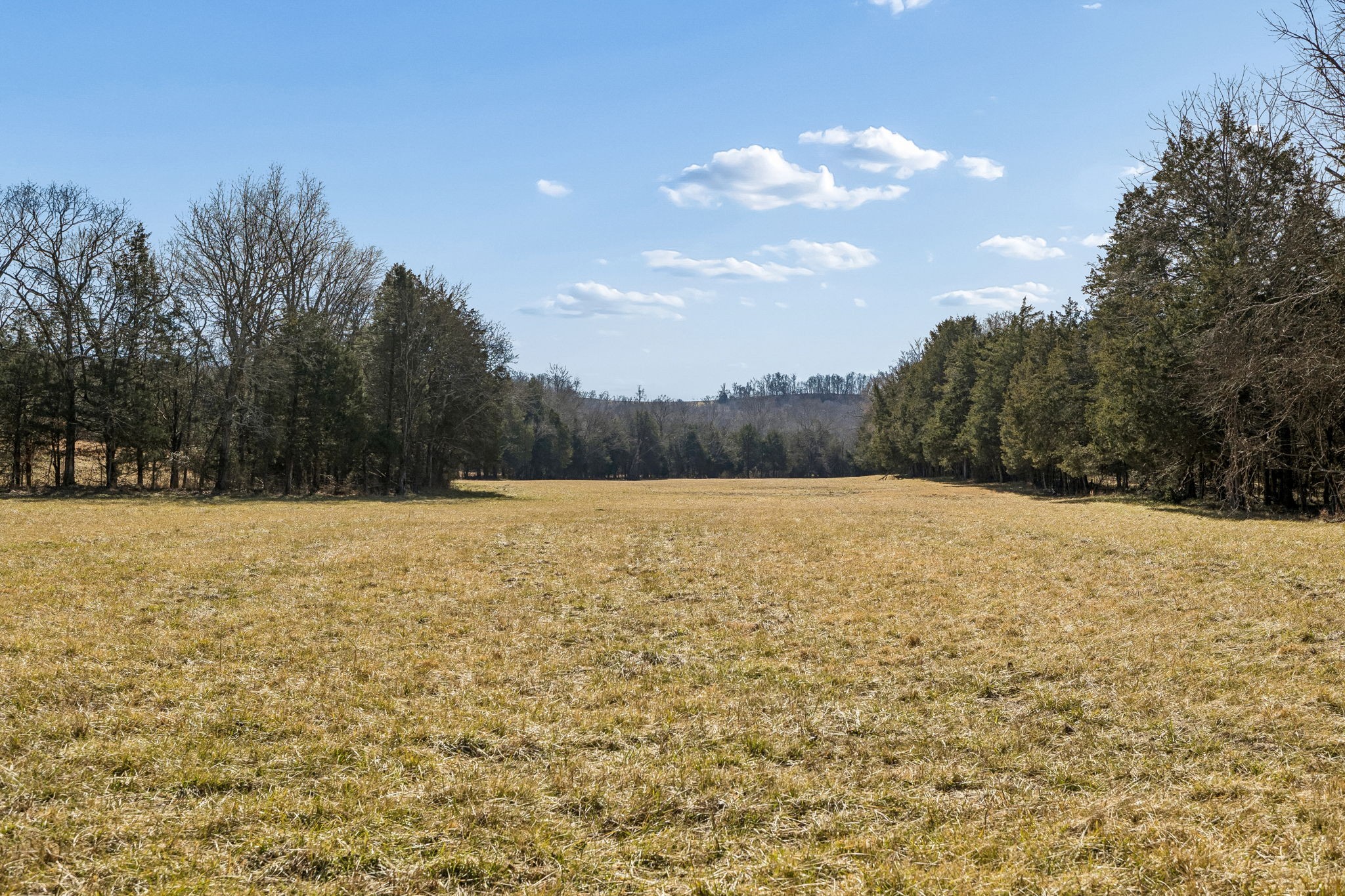 935 Comer Road Lascassas, TN 37085 - Photo 11 of 77