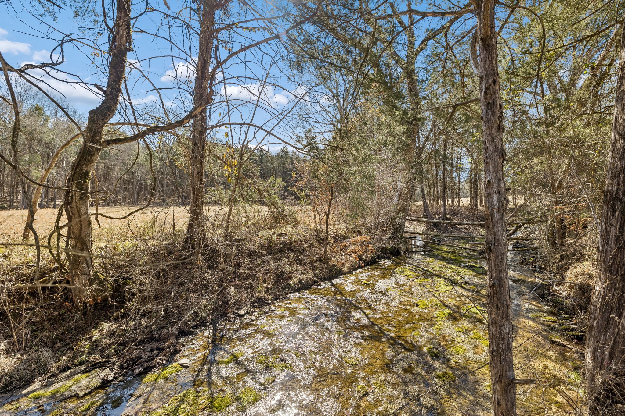 935 Comer Road Lascassas, TN 37085 - Photo 13 of 77 a view of a yard