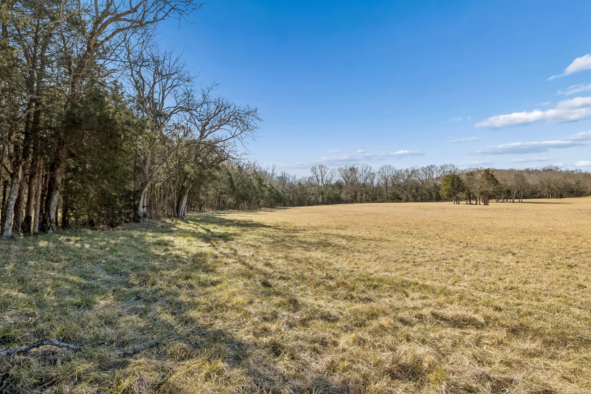 935 Comer Road Lascassas, TN 37085 - Photo 14 of 77 a view of lake with mountain in the background