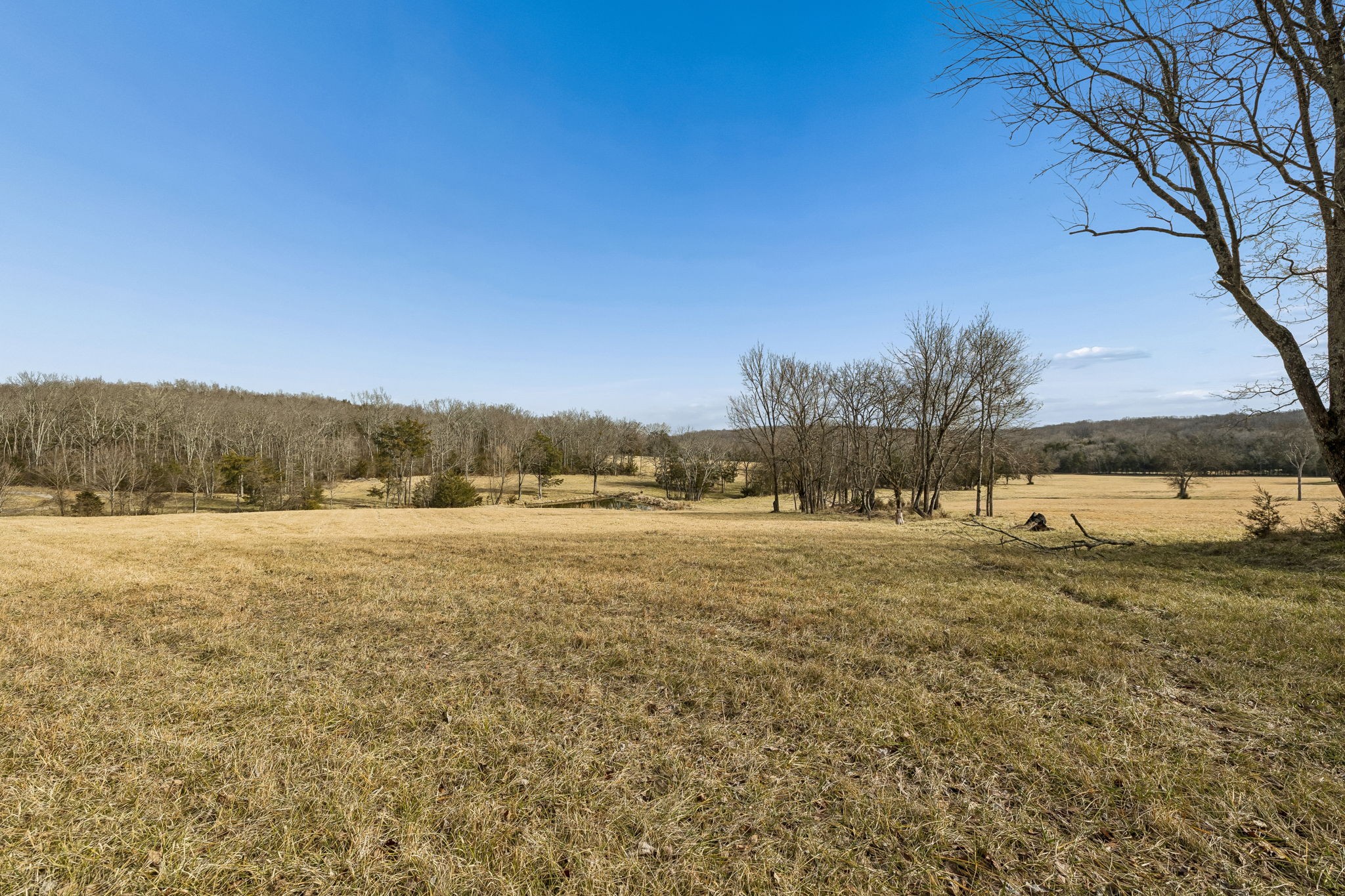 935 Comer Road Lascassas, TN 37085 - Photo 16 of 77
