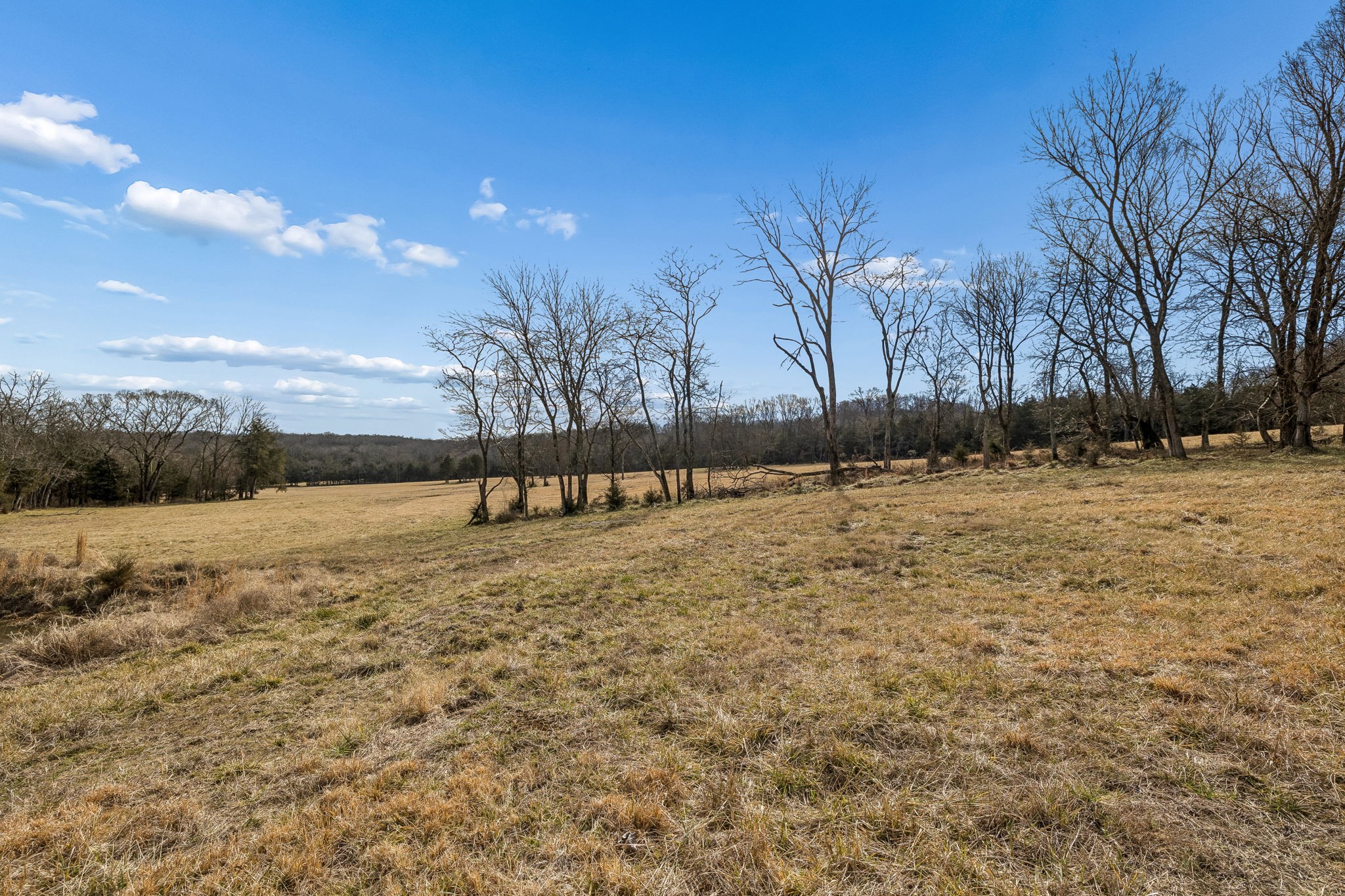 935 Comer Road Lascassas, TN 37085 - Photo 17 of 77 a view of yard covered with snow