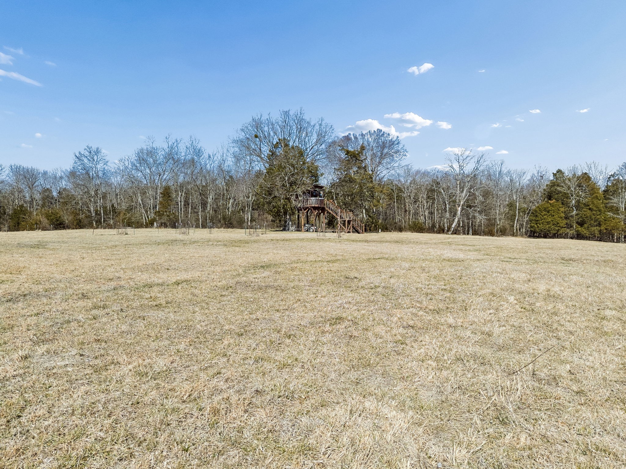 935 Comer Road Lascassas, TN 37085 - Photo 19 of 77 a view of outdoor space with trees