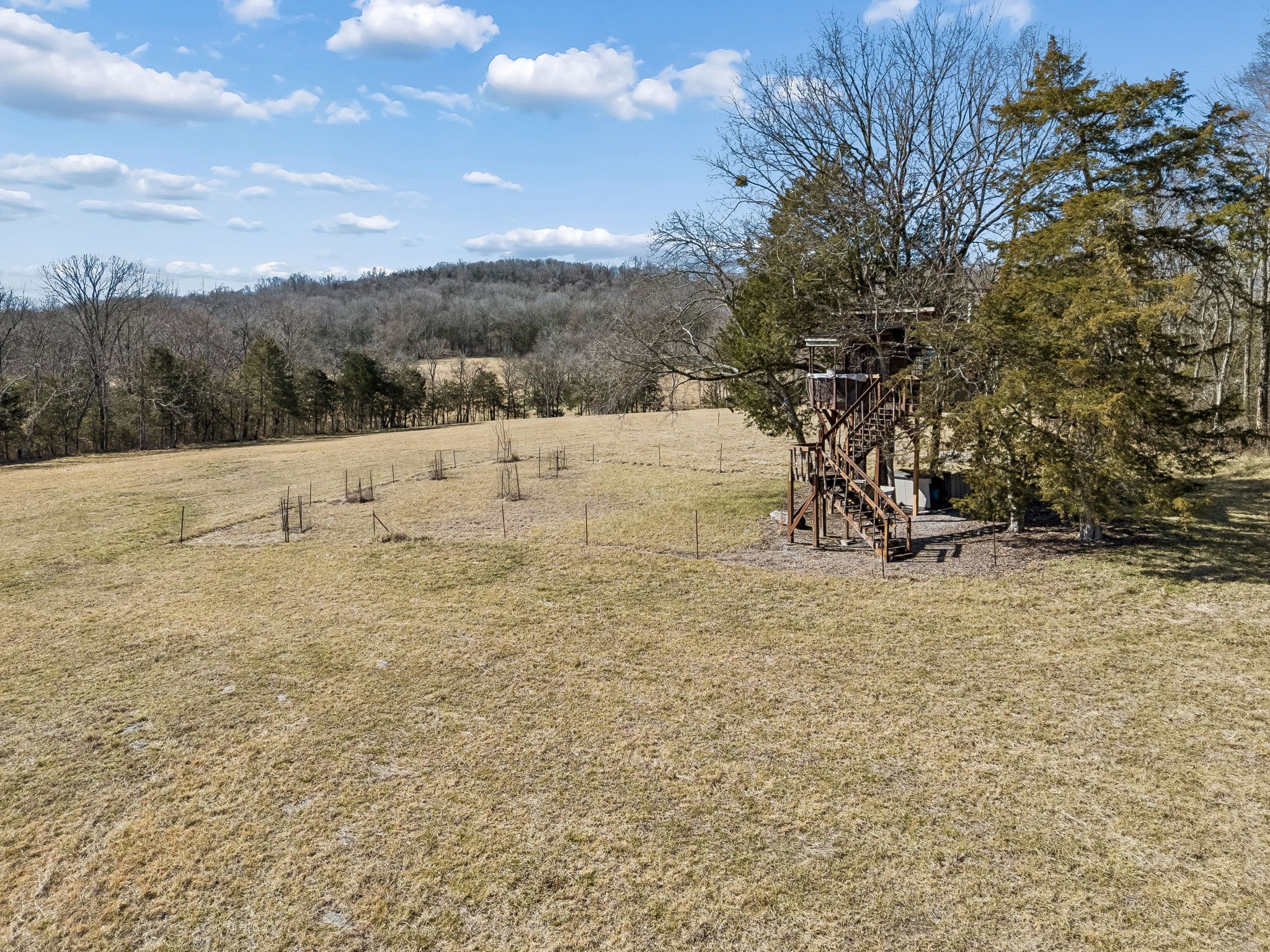 935 Comer Road Lascassas, TN 37085 - Photo 20 of 77 a view of open space with mountain view