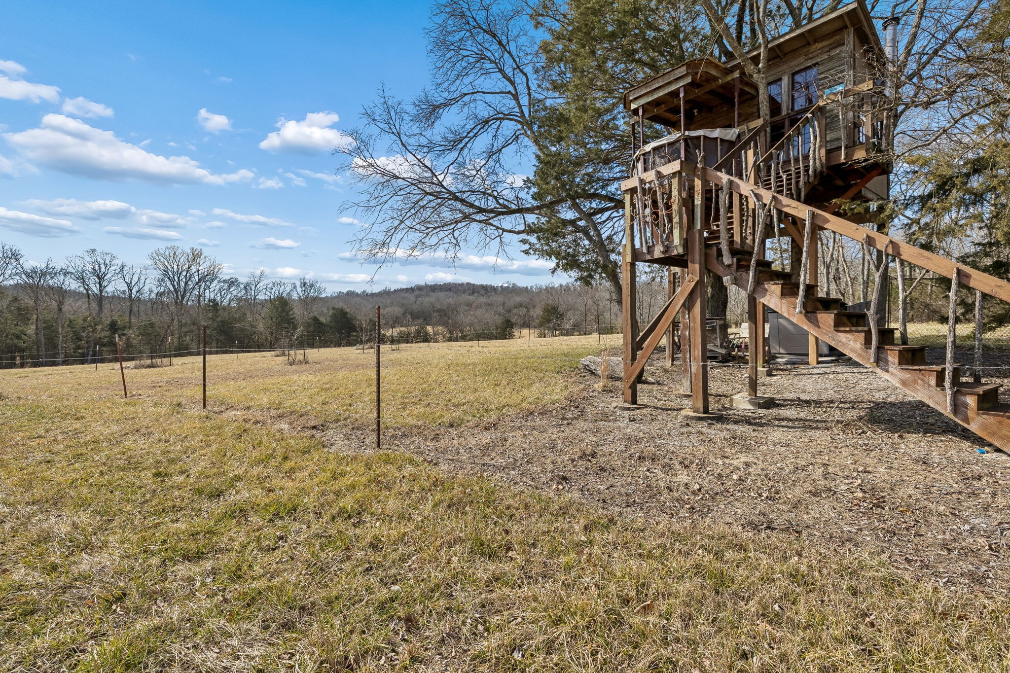 935 Comer Road Lascassas, TN 37085 - Photo 22 of 77 a view of a yard with a tree