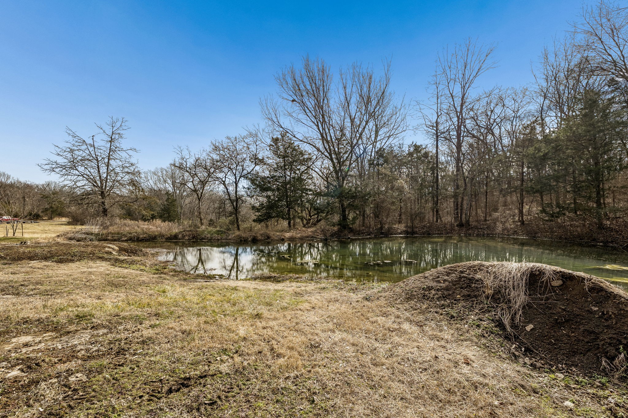935 Comer Road Lascassas, TN 37085 - Photo 31 of 77