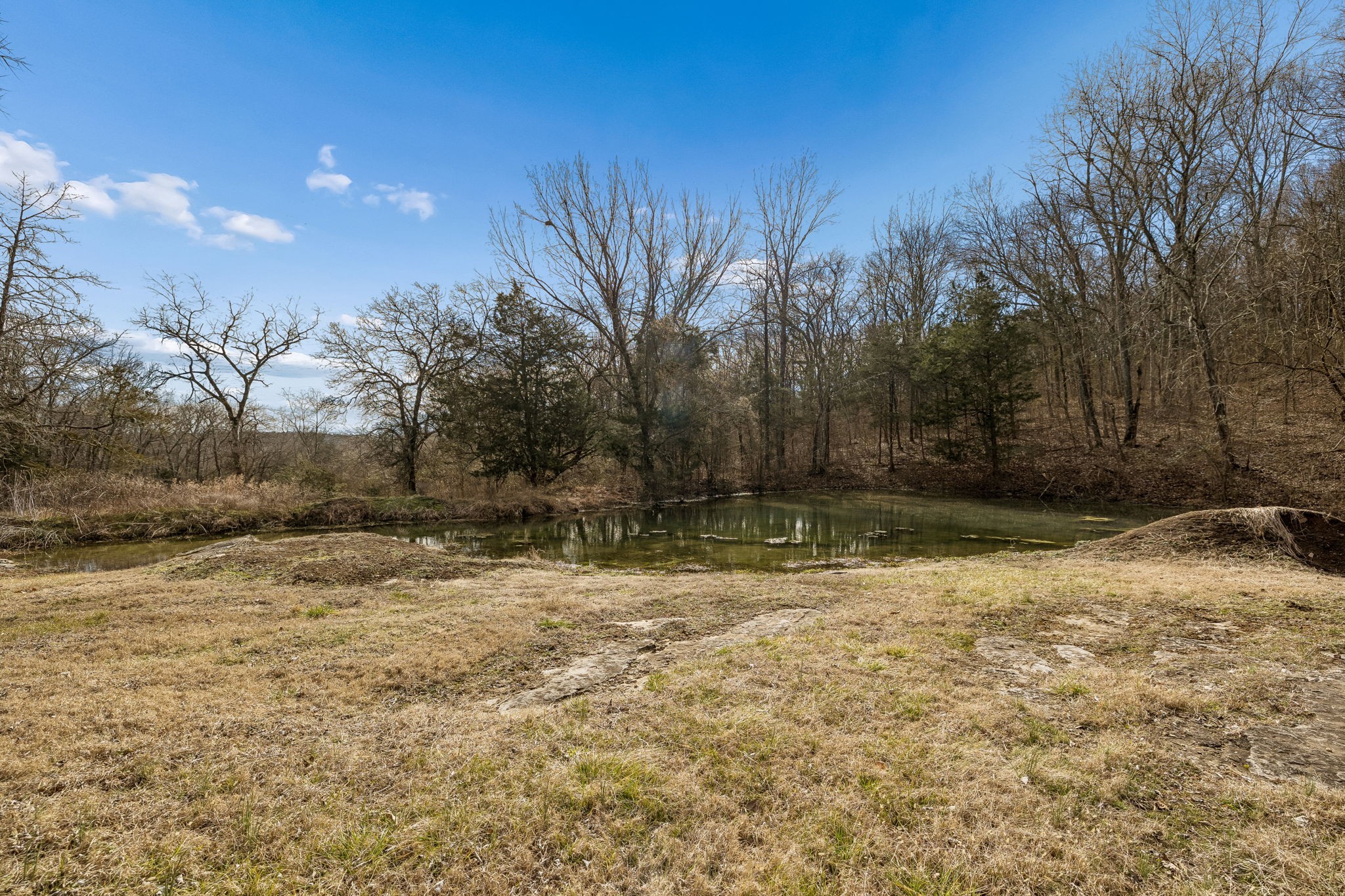 935 Comer Road Lascassas, TN 37085 - Photo 32 of 77