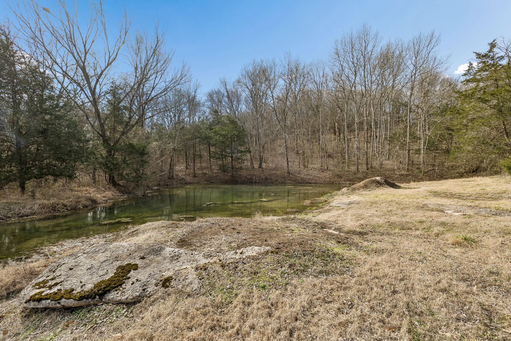935 Comer Road Lascassas, TN 37085 - Photo 33 of 77