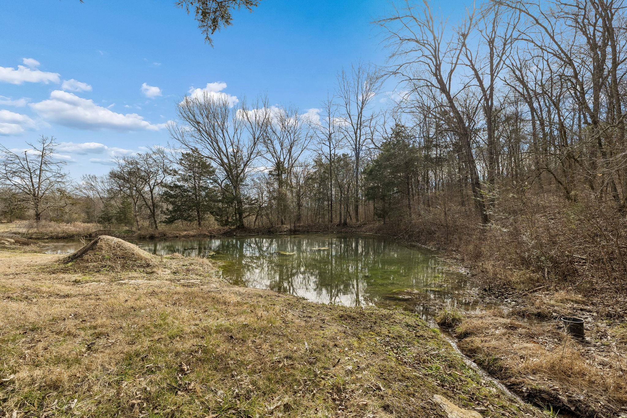 935 Comer Road Lascassas, TN 37085 - Photo 34 of 77