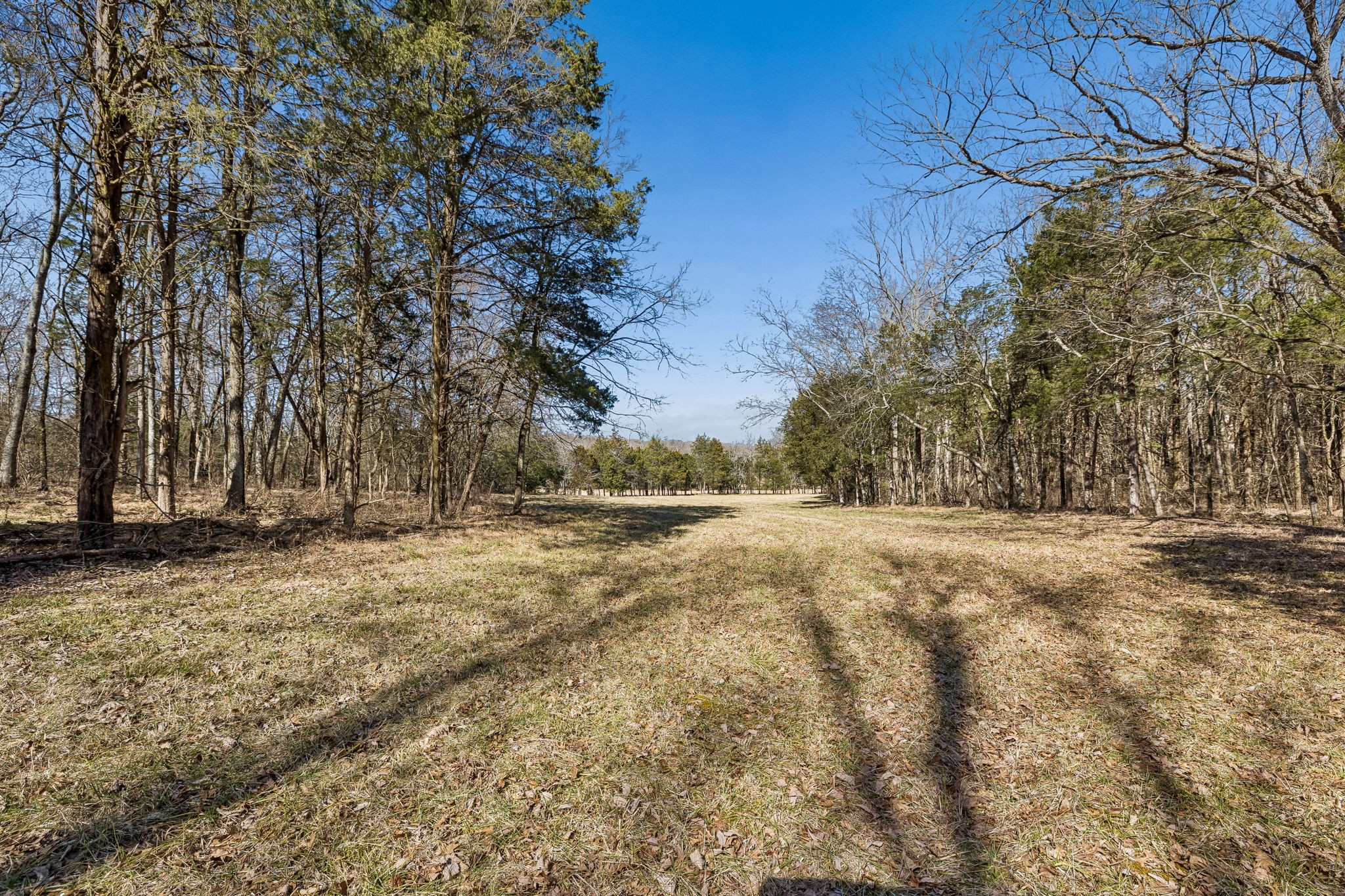 935 Comer Road Lascassas, TN 37085 - Photo 35 of 77