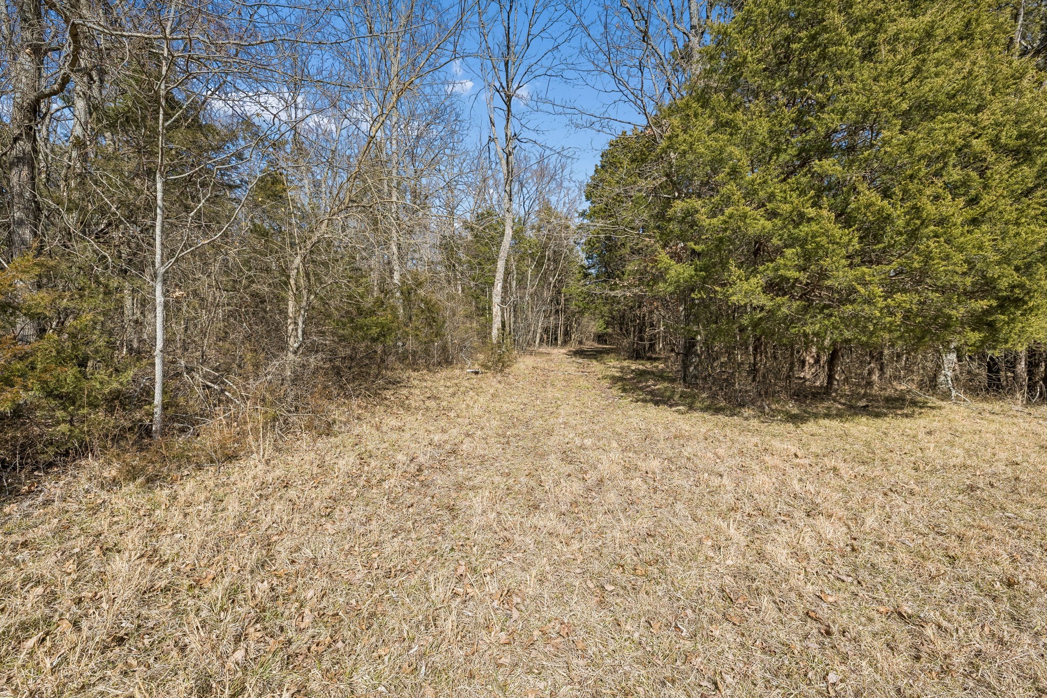 935 Comer Road Lascassas, TN 37085 - Photo 36 of 77 a view of a yard covered in snow