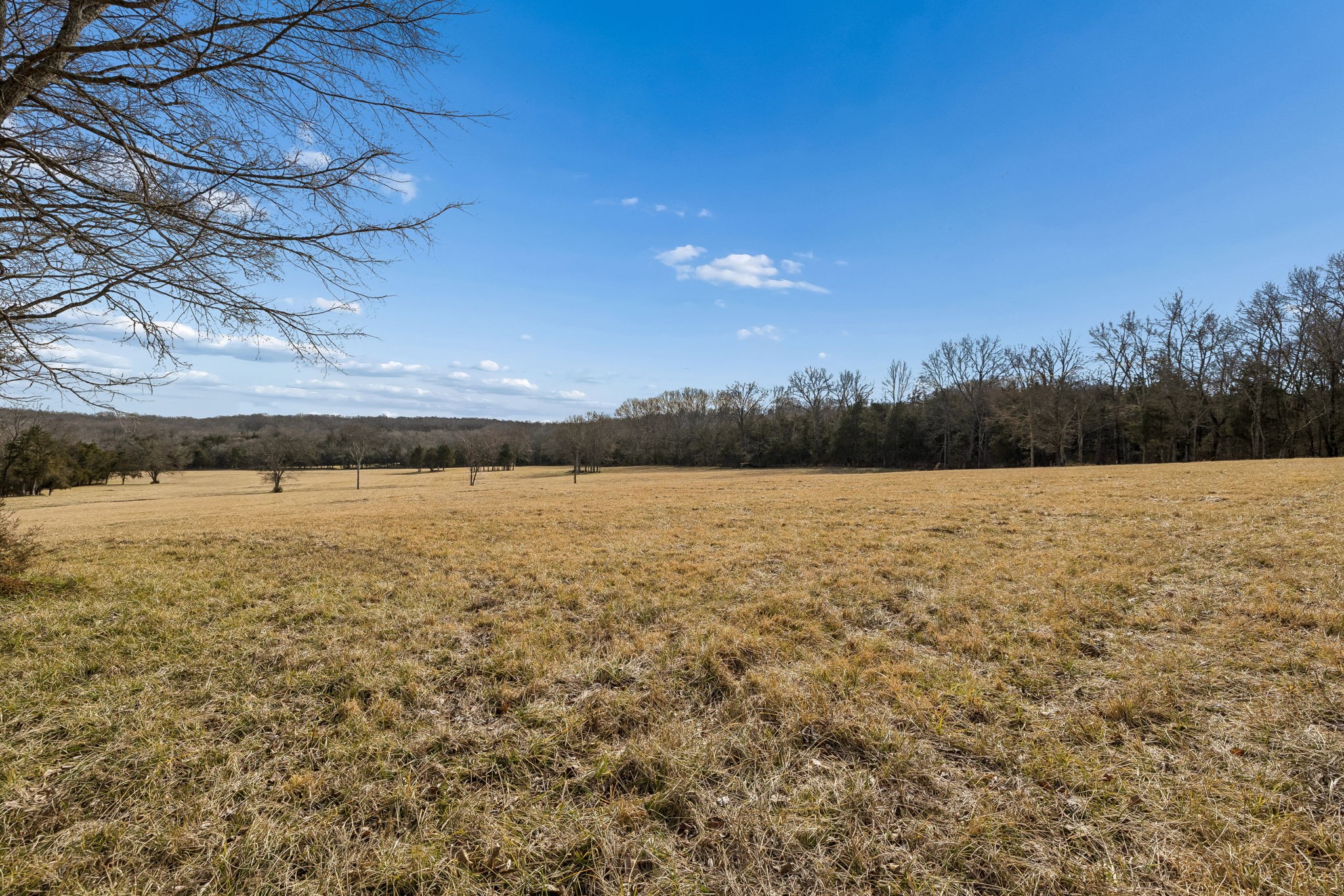 935 Comer Road Lascassas, TN 37085 - Photo 37 of 77 a view of lake with green space