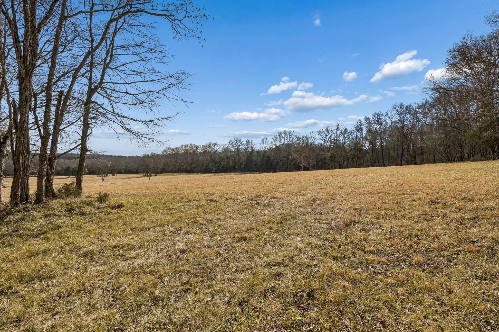 935 Comer Road Lascassas, TN 37085 - Photo 38 of 77 a view of lake with outdoor space