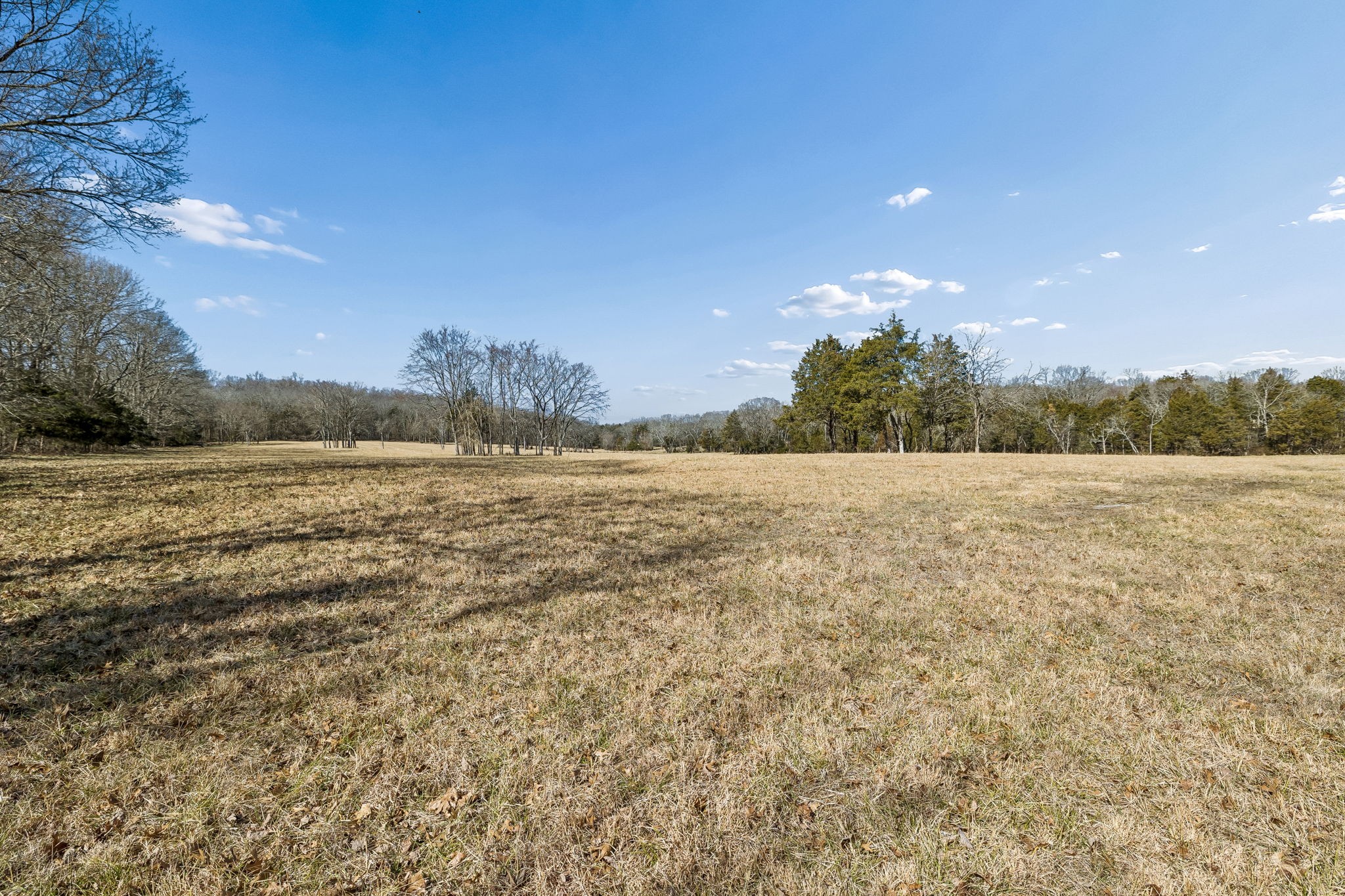 935 Comer Road Lascassas, TN 37085 - Photo 39 of 77