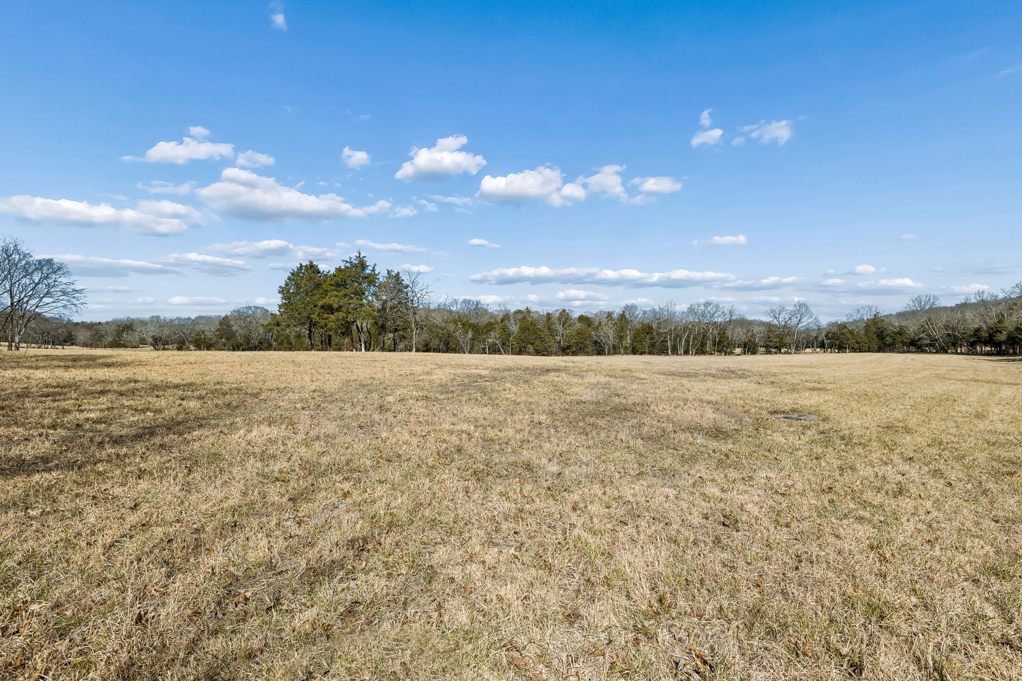 935 Comer Road Lascassas, TN 37085 - Photo 40 of 77 a view of a lake view