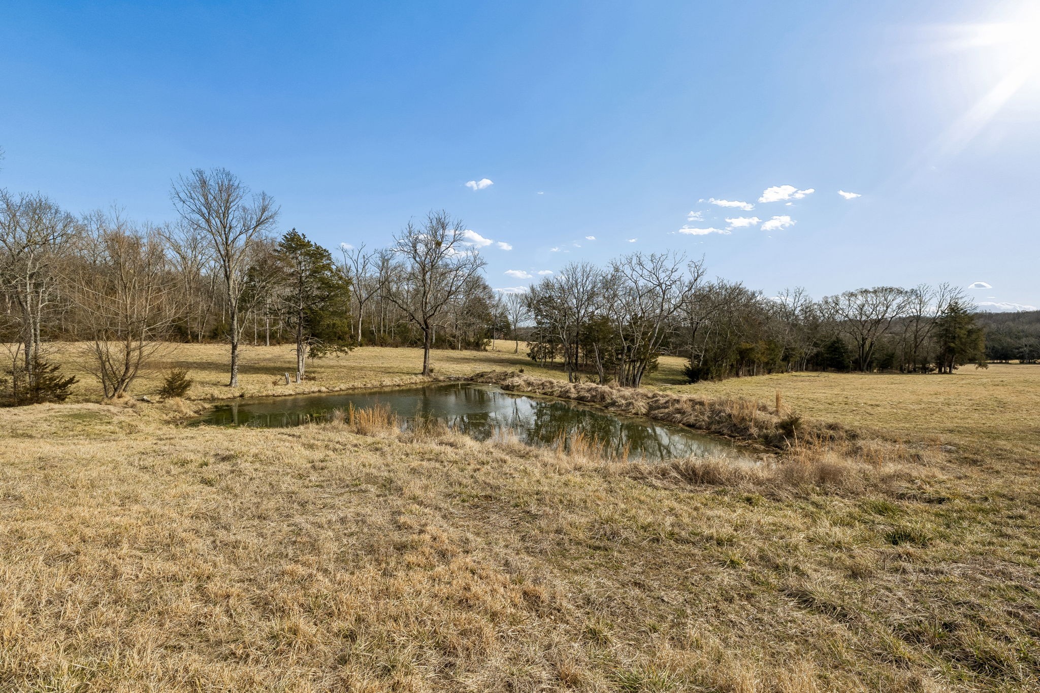 935 Comer Road Lascassas, TN 37085 - Photo 4 of 77 a view of a lake view