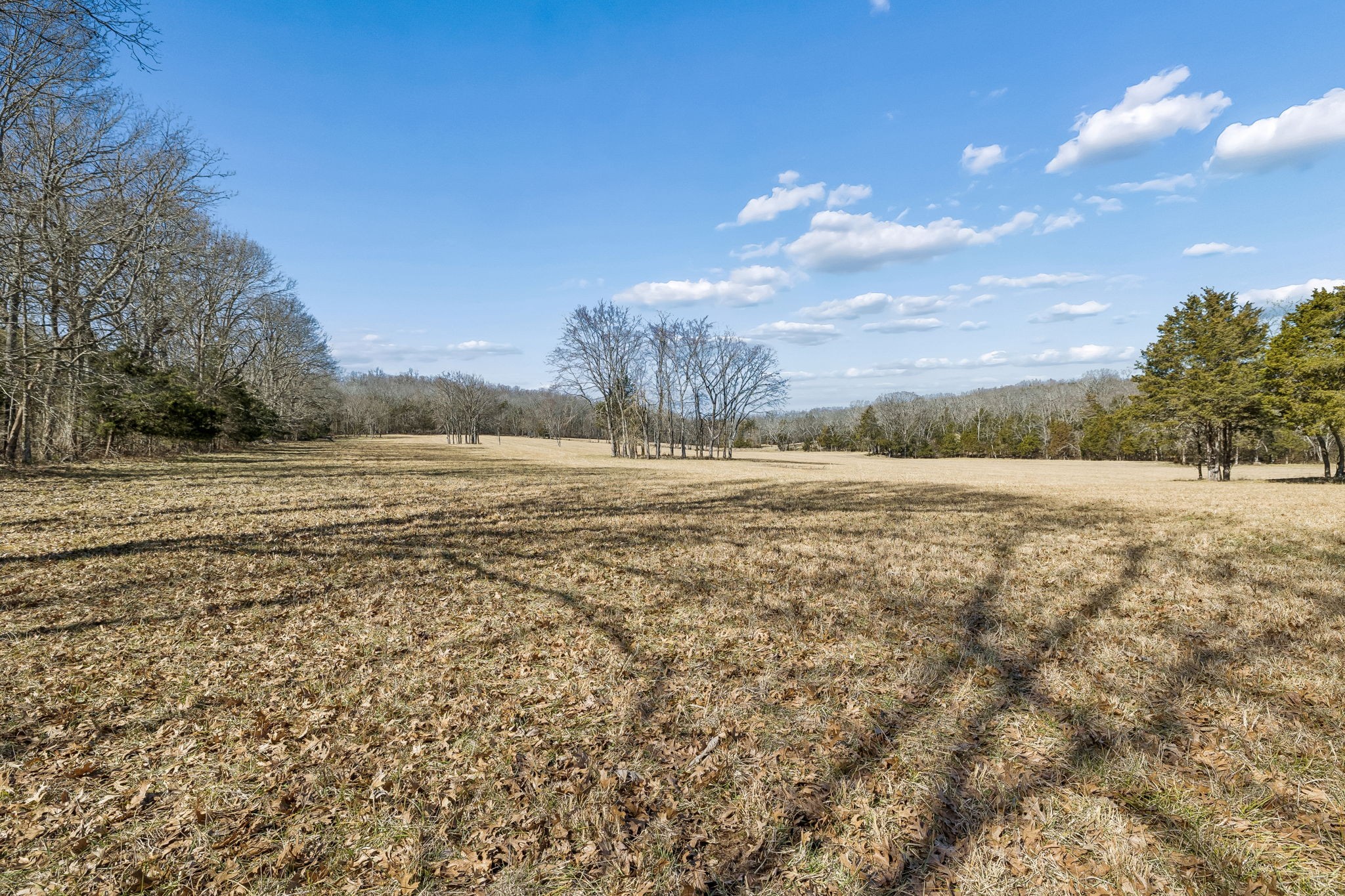 935 Comer Road Lascassas, TN 37085 - Photo 41 of 77 a view of a field with an ocean