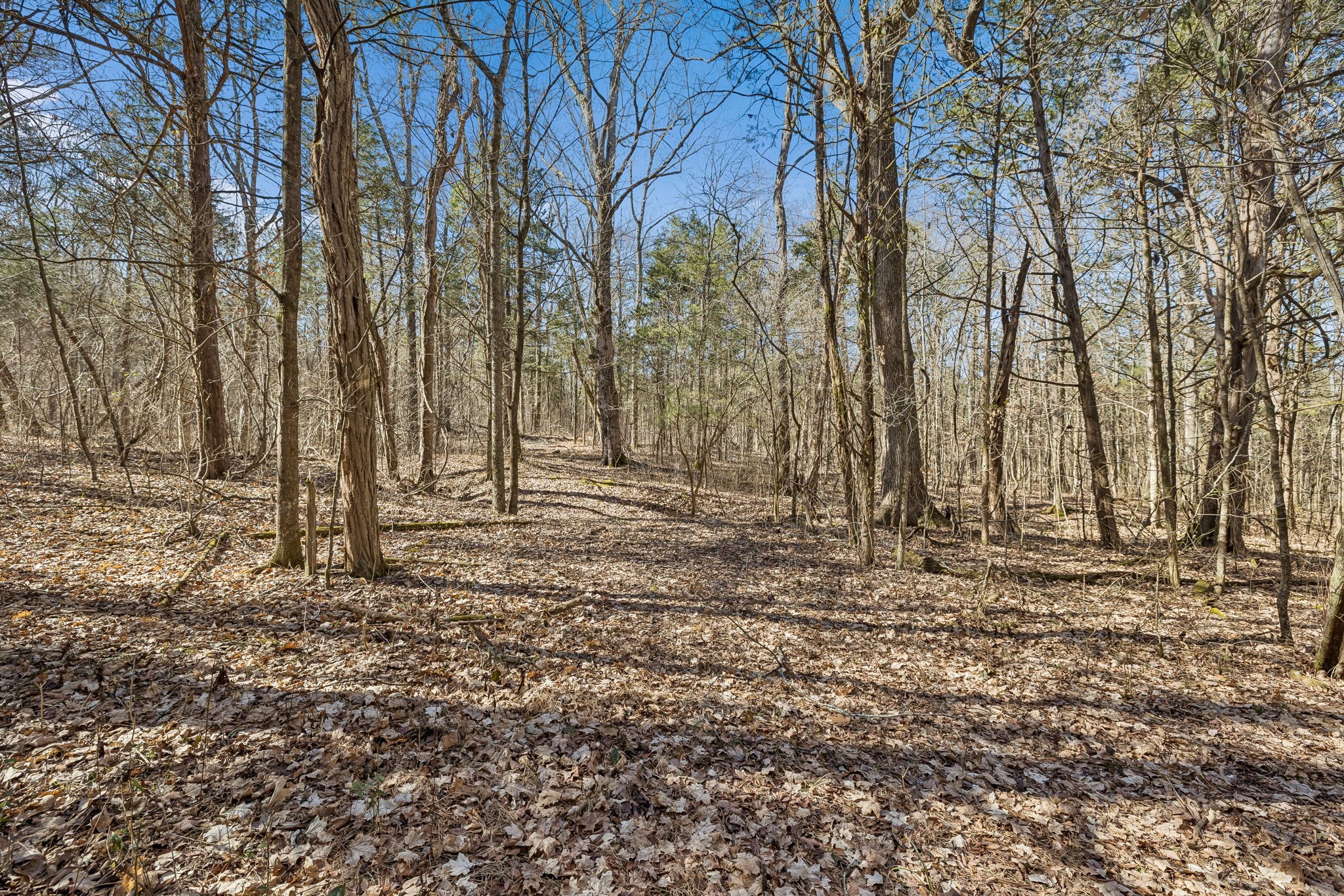 935 Comer Road Lascassas, TN 37085 - Photo 46 of 77 a view of covered with wooden fence