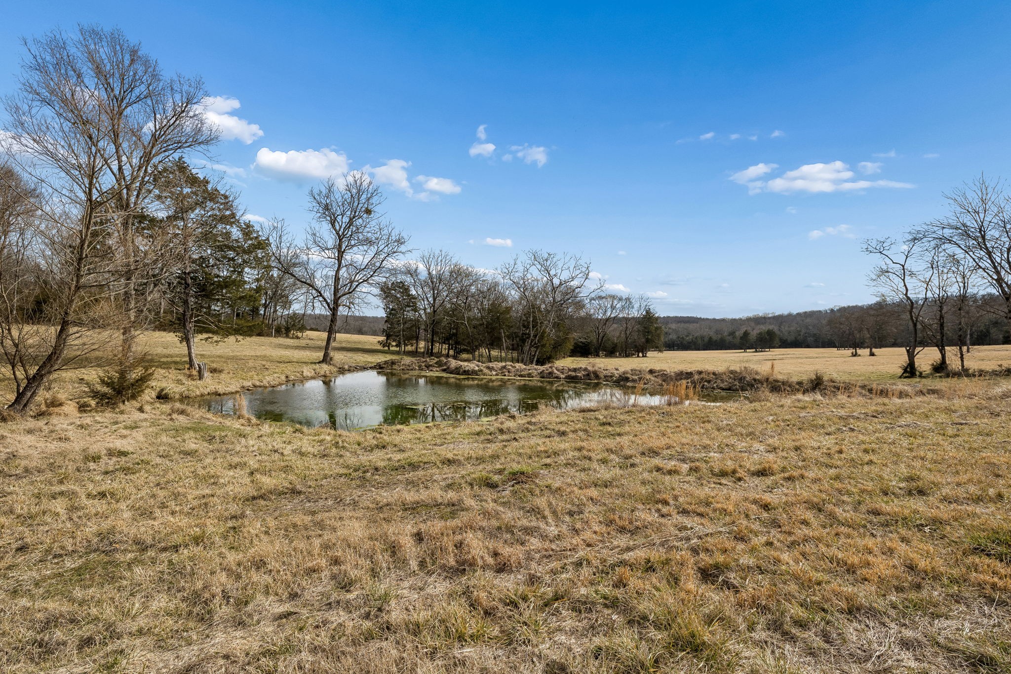 935 Comer Road Lascassas, TN 37085 - Photo 5 of 77 a view of a lake view
