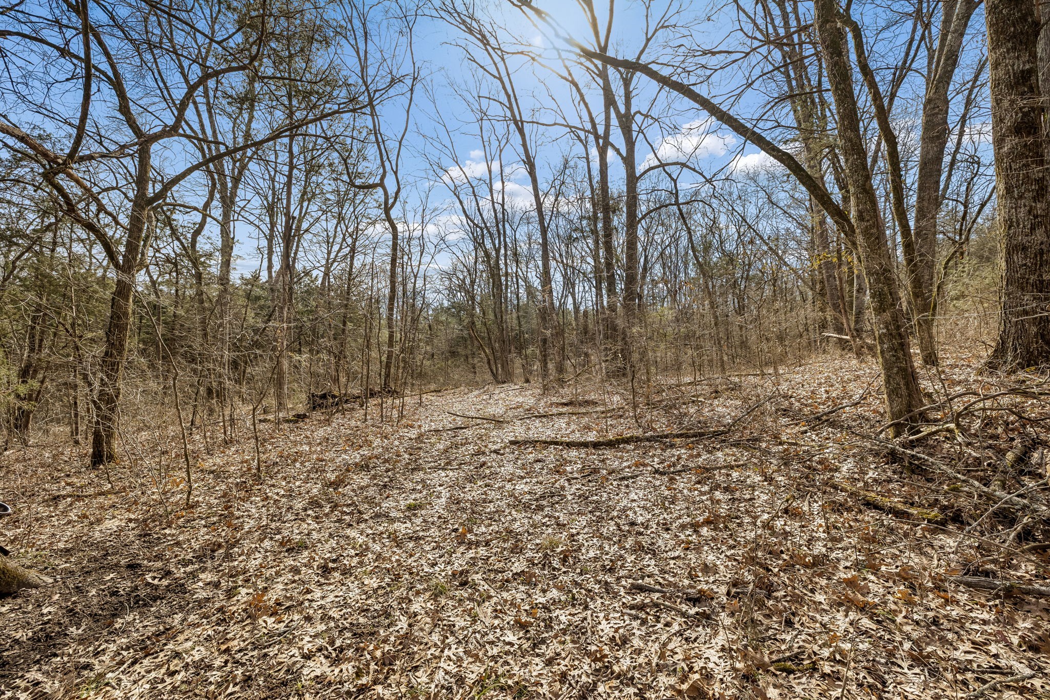 935 Comer Road Lascassas, TN 37085 - Photo 51 of 77