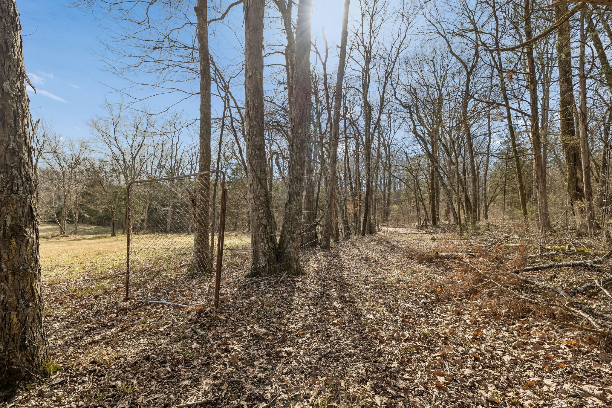 935 Comer Road Lascassas, TN 37085 - Photo 52 of 77 a backyard of a house with lots of green space