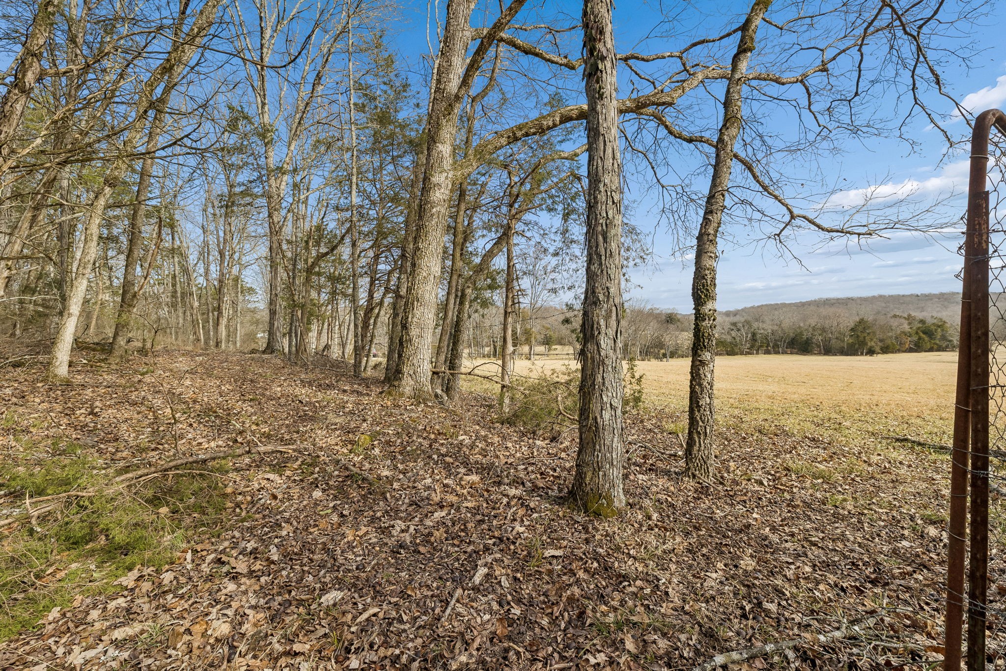 935 Comer Road Lascassas, TN 37085 - Photo 54 of 77 a view of a backyard of the house