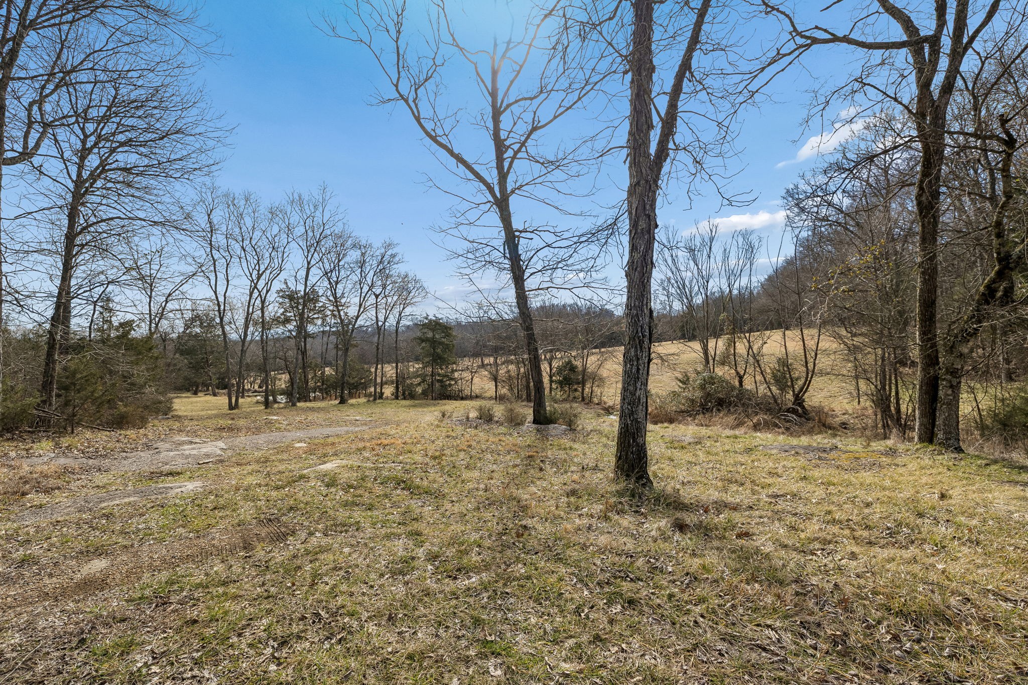 935 Comer Road Lascassas, TN 37085 - Photo 55 of 77