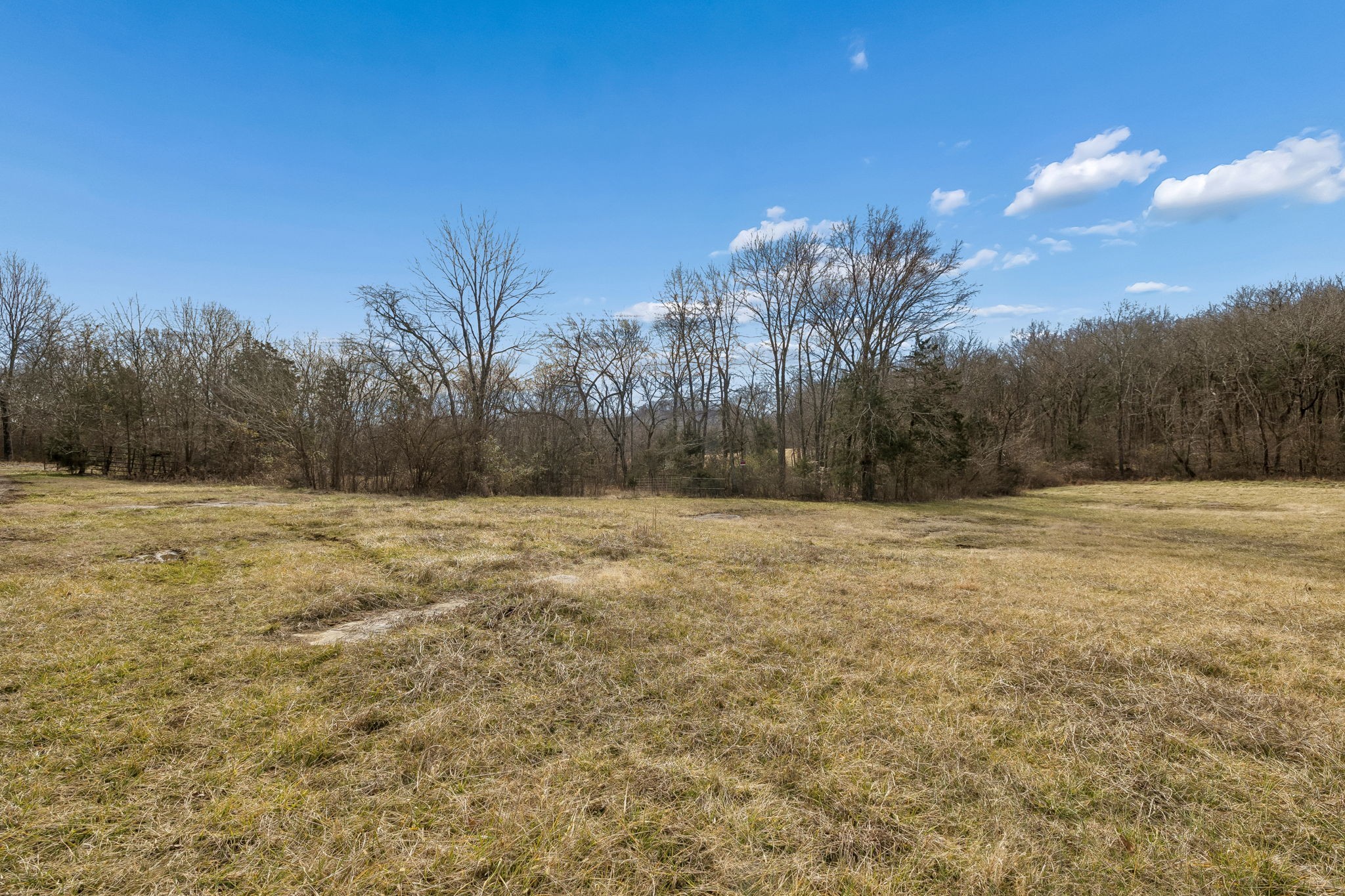 935 Comer Road Lascassas, TN 37085 - Photo 57 of 77 a view of a yard