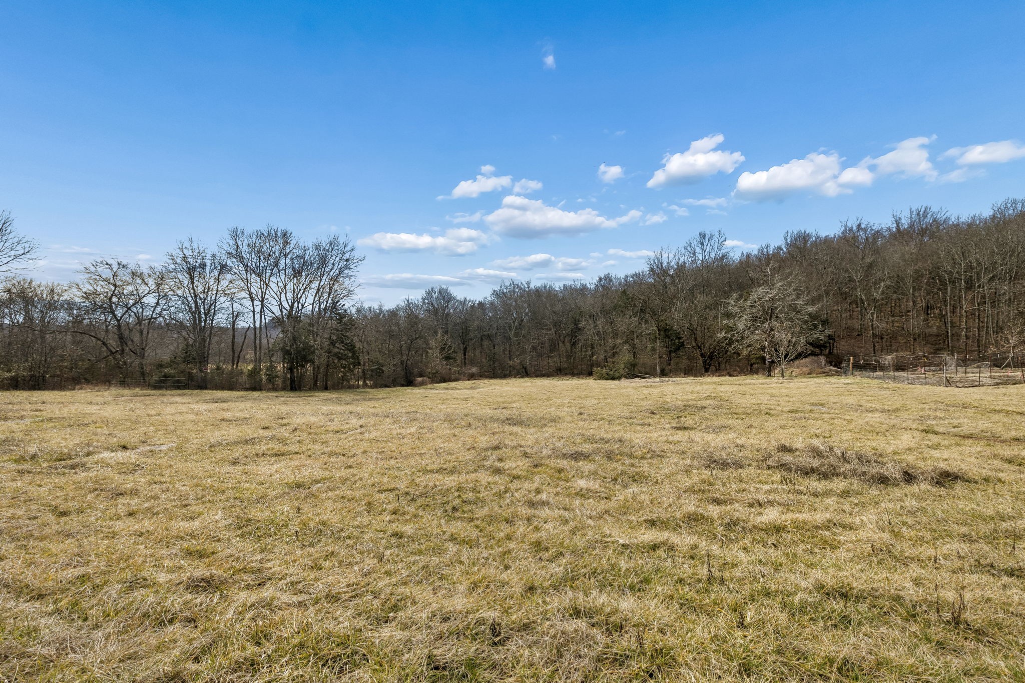 935 Comer Road Lascassas, TN 37085 - Photo 58 of 77 a view of a yard