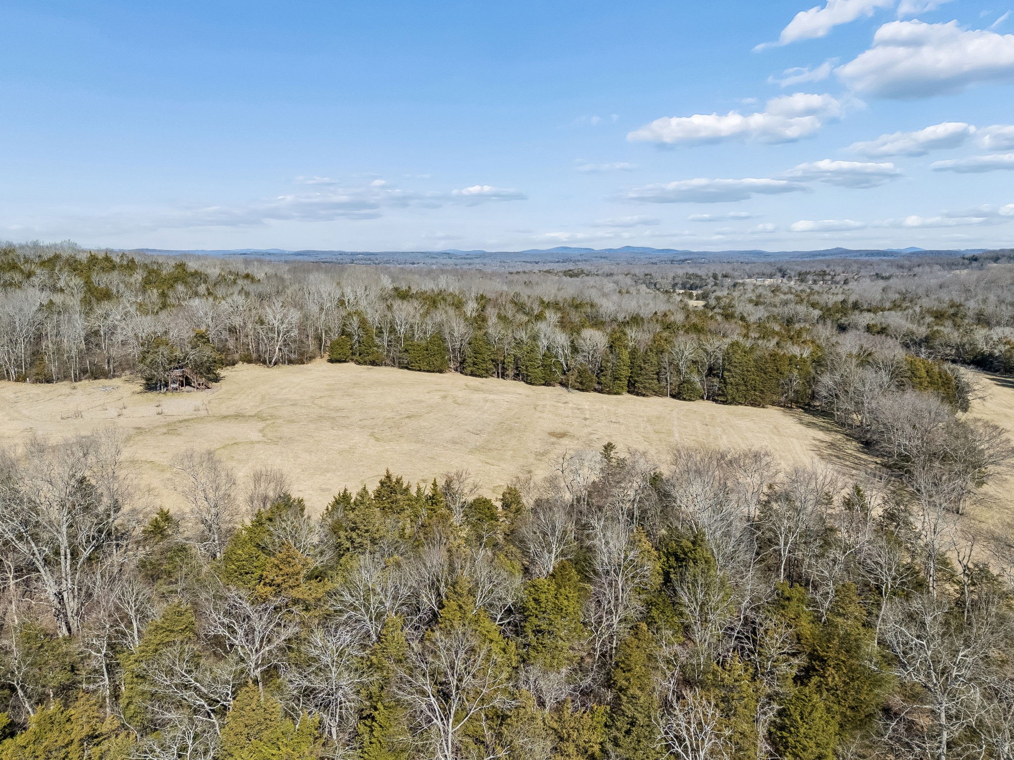 935 Comer Road Lascassas, TN 37085 - Photo 60 of 77 a view of a dry yard