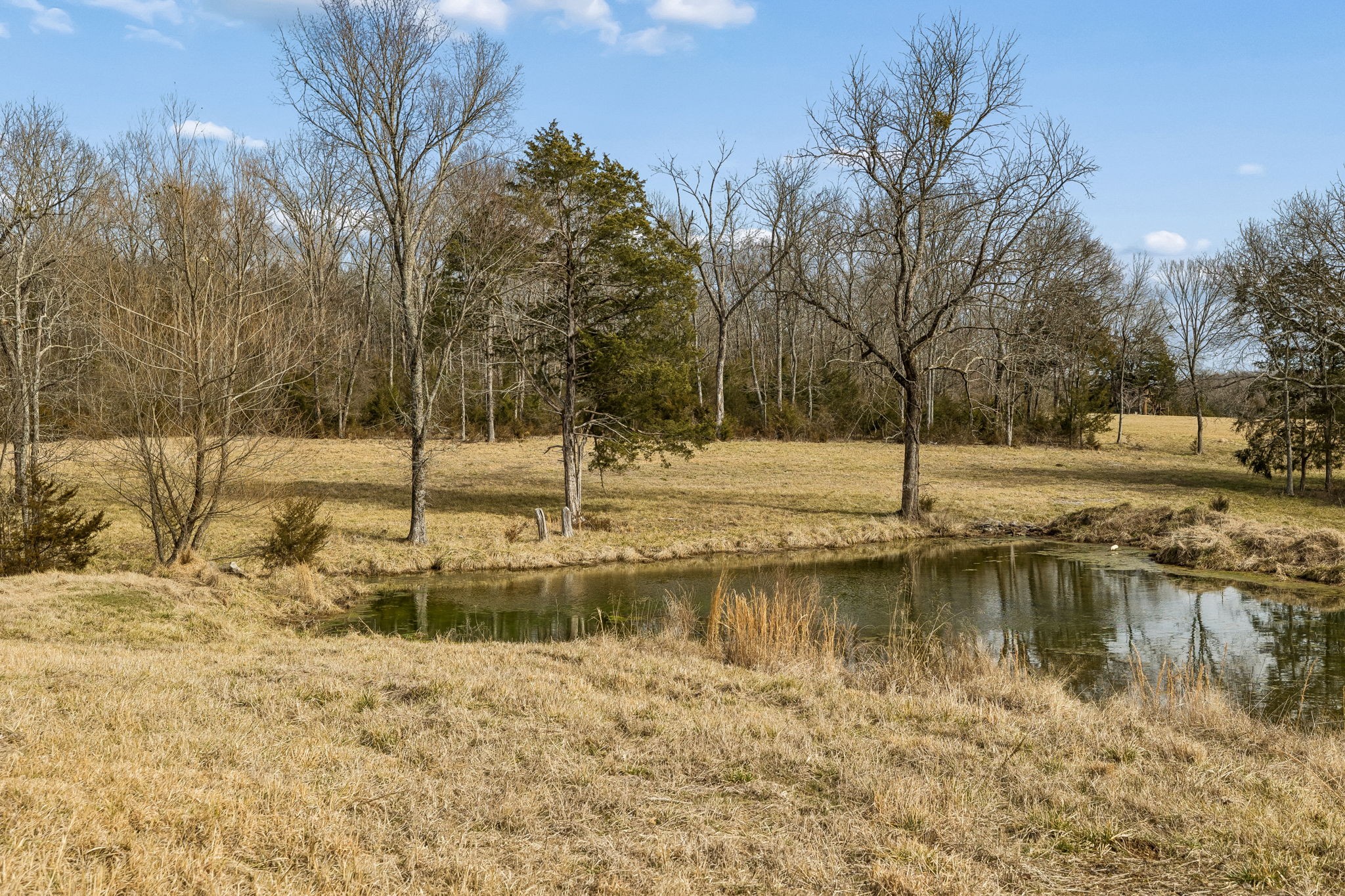 935 Comer Road Lascassas, TN 37085 - Photo 6 of 77 a view of a lake with trees