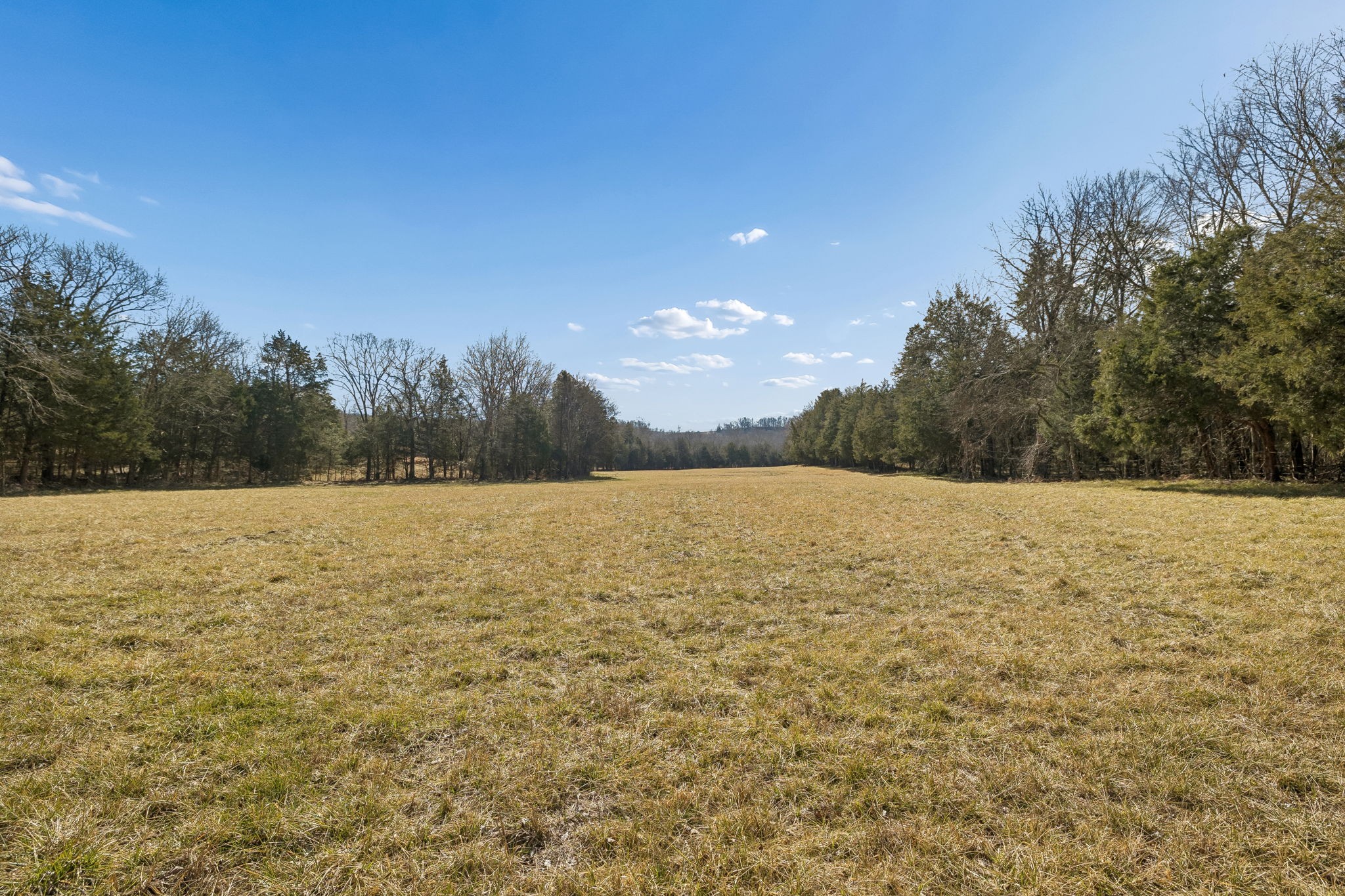 935 Comer Road Lascassas, TN 37085 - Photo 9 of 77 a view of lake and mountain
