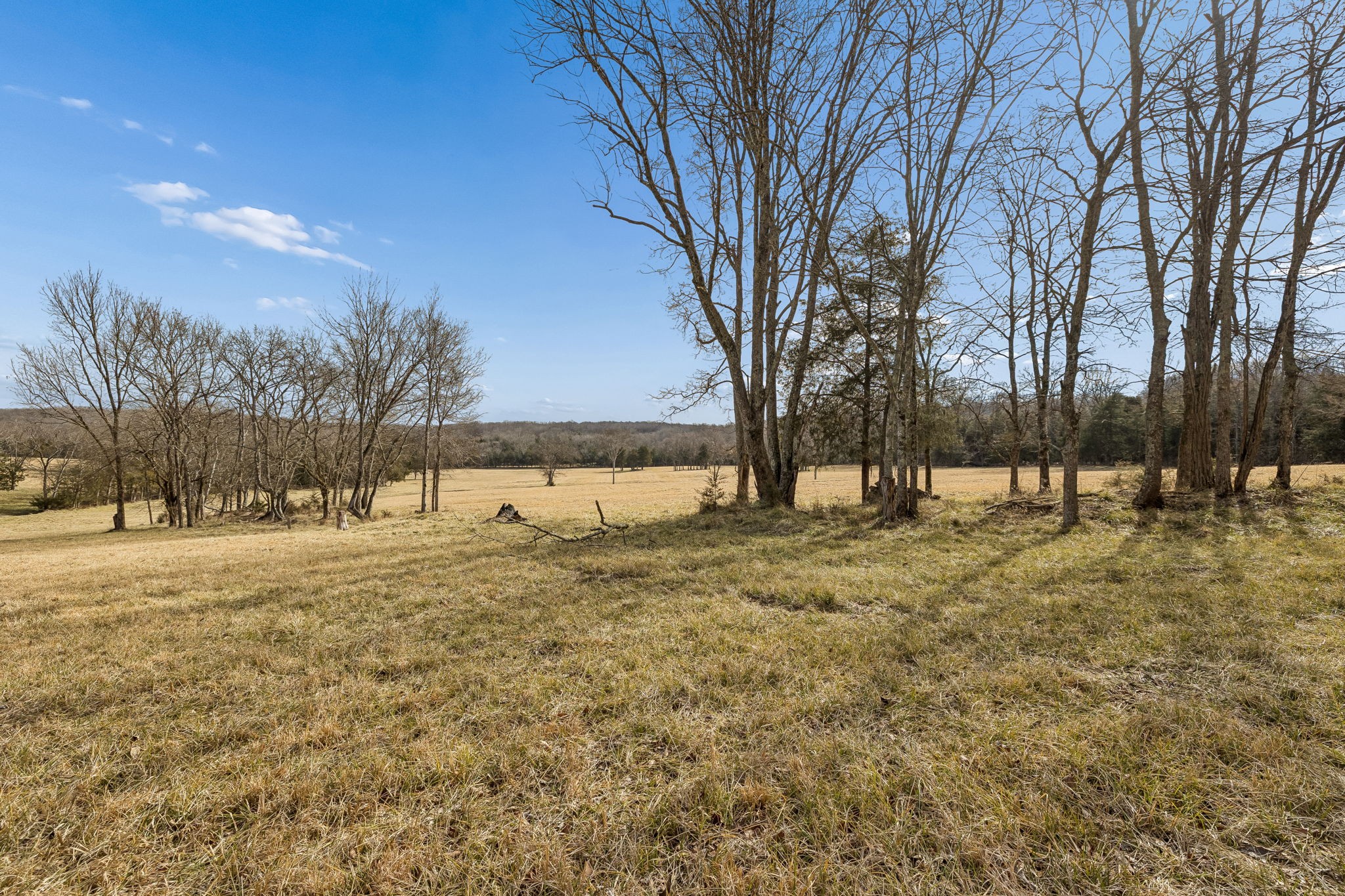 935 Comer Road Lascassas, TN 37085 - Photo 10 of 77 a view of yard with trees
