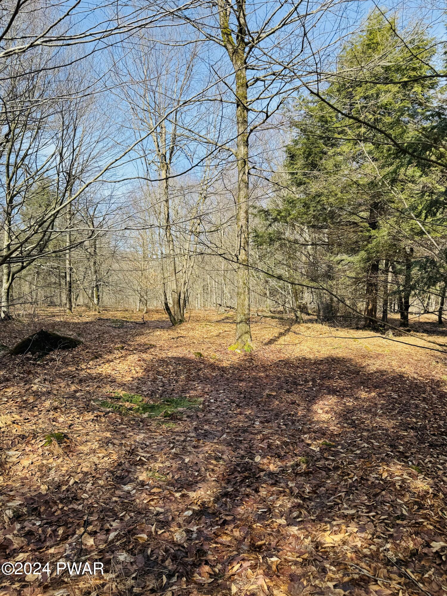 Lot 3 Clark Road Thompson, PA 18465 - Photo 7 of 11