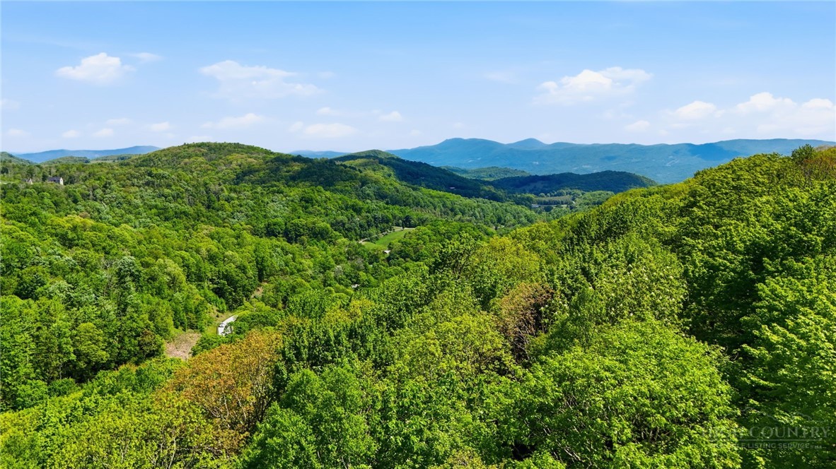 Lot #30 Snowridge Road Banner Elk, NC 28604 - Photo 9 of 15 Gallery Image 9
