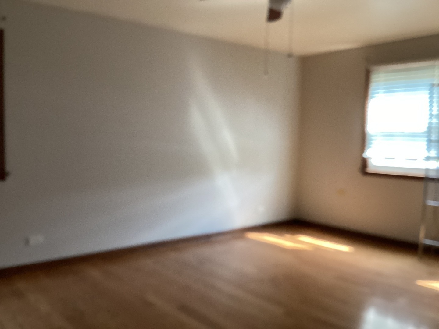928 North Rohlwing Road Palatine, IL 60074 - Photo 9 of 13 Gallery Image 9