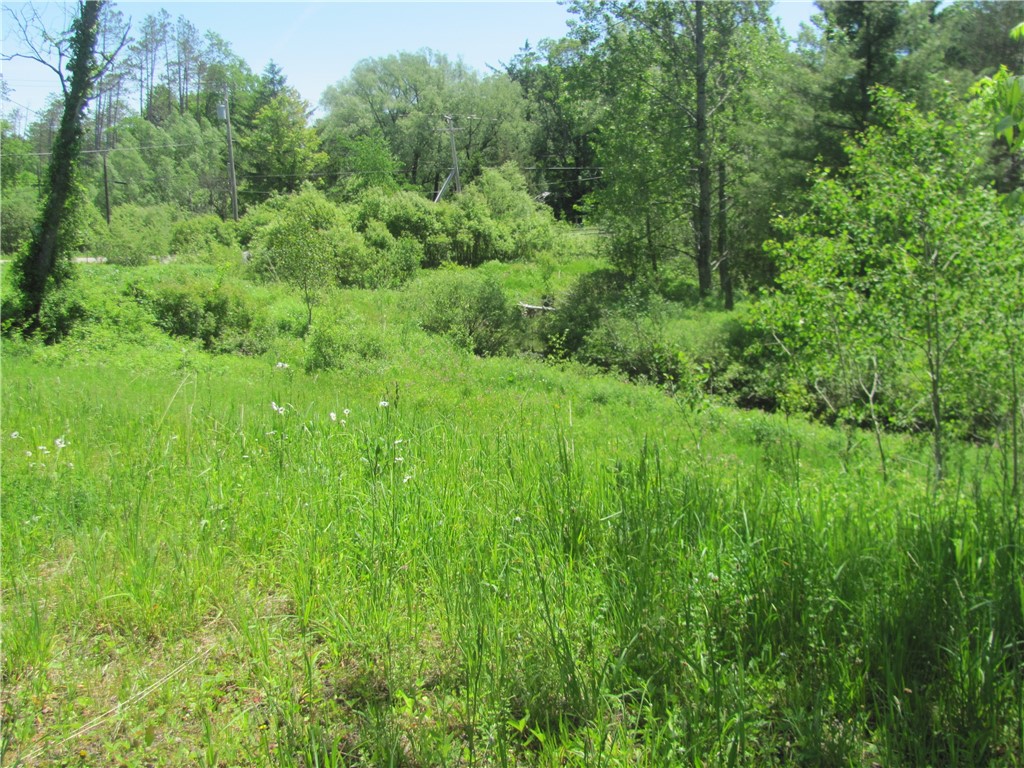 1369 Military Road Salisbury, NY 13365 - Photo 9 of 24