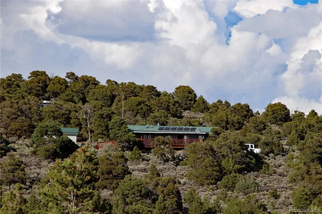 a view of a yard in a forest
