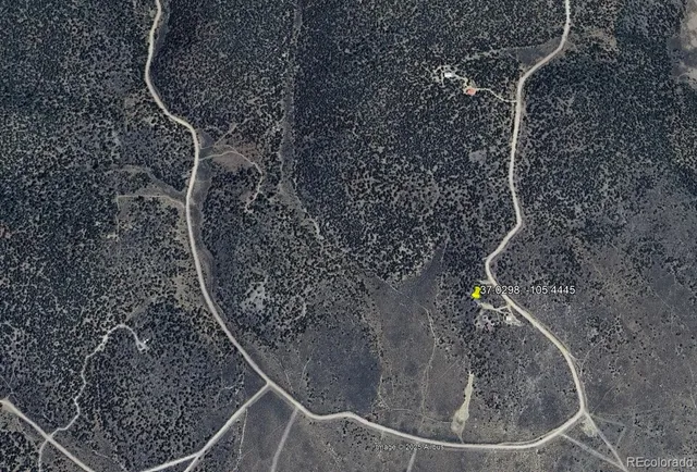 a black and white photo of a painting