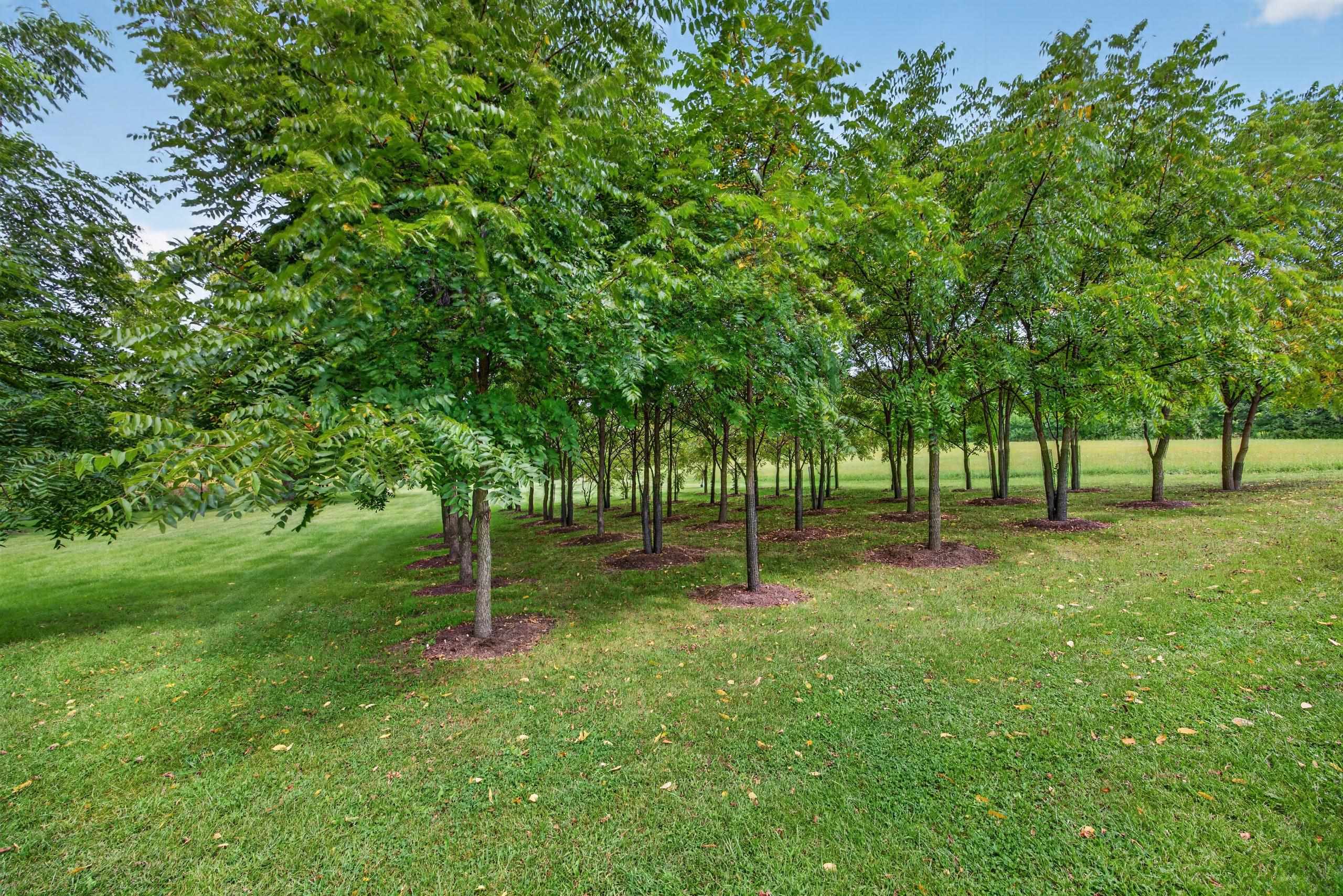 6725 Shirland Road Rockton, IL 61072 - Photo 75 of 87 Gallery Image 75