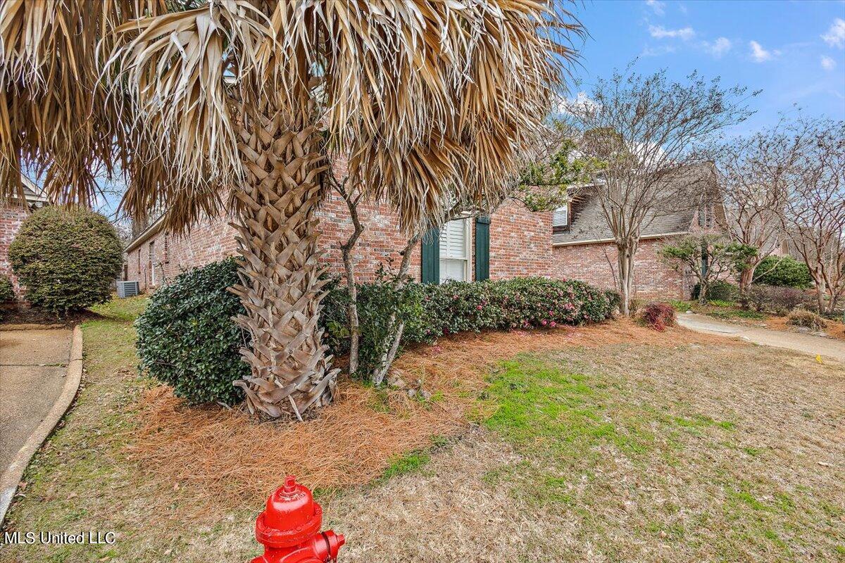 752 Versailles Drive Ridgeland, MS 39157 - Photo 5 of 34 05-752 Versailles Dr