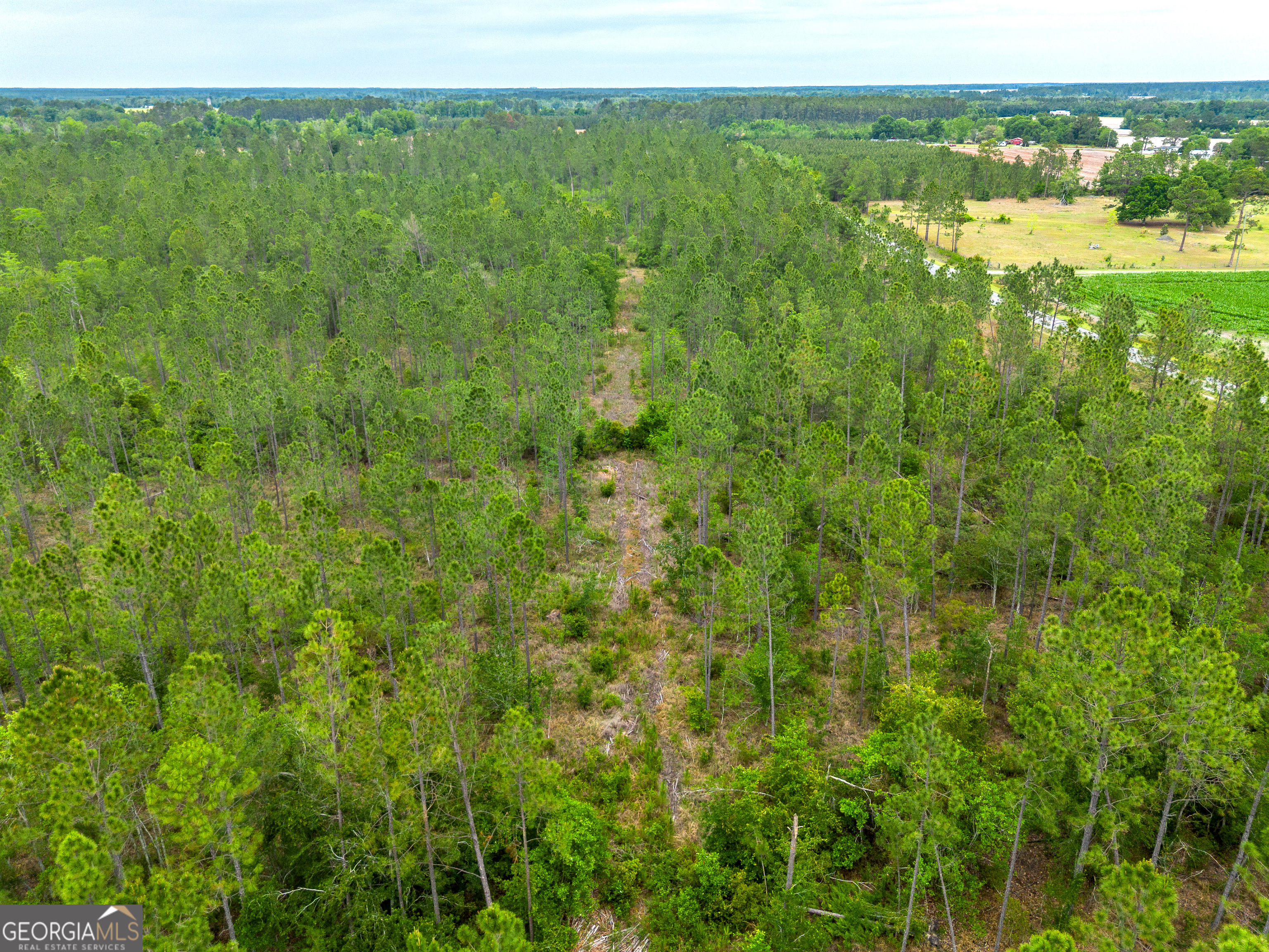110 Lees Chapel Road Nicholls, GA 31554 - Photo 13 of 19