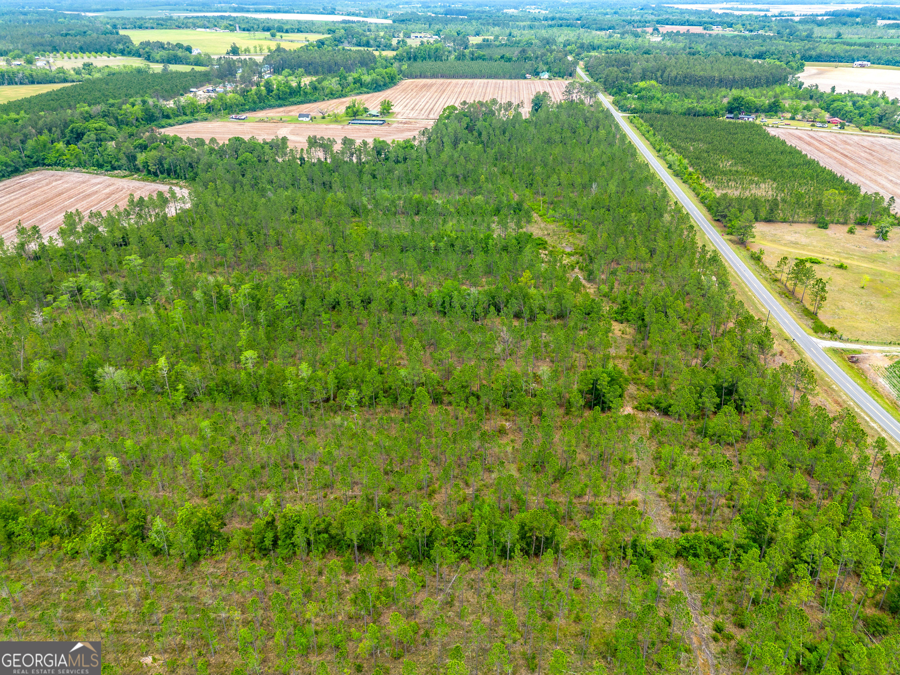 110 Lees Chapel Road Nicholls, GA 31554 - Photo 15 of 19