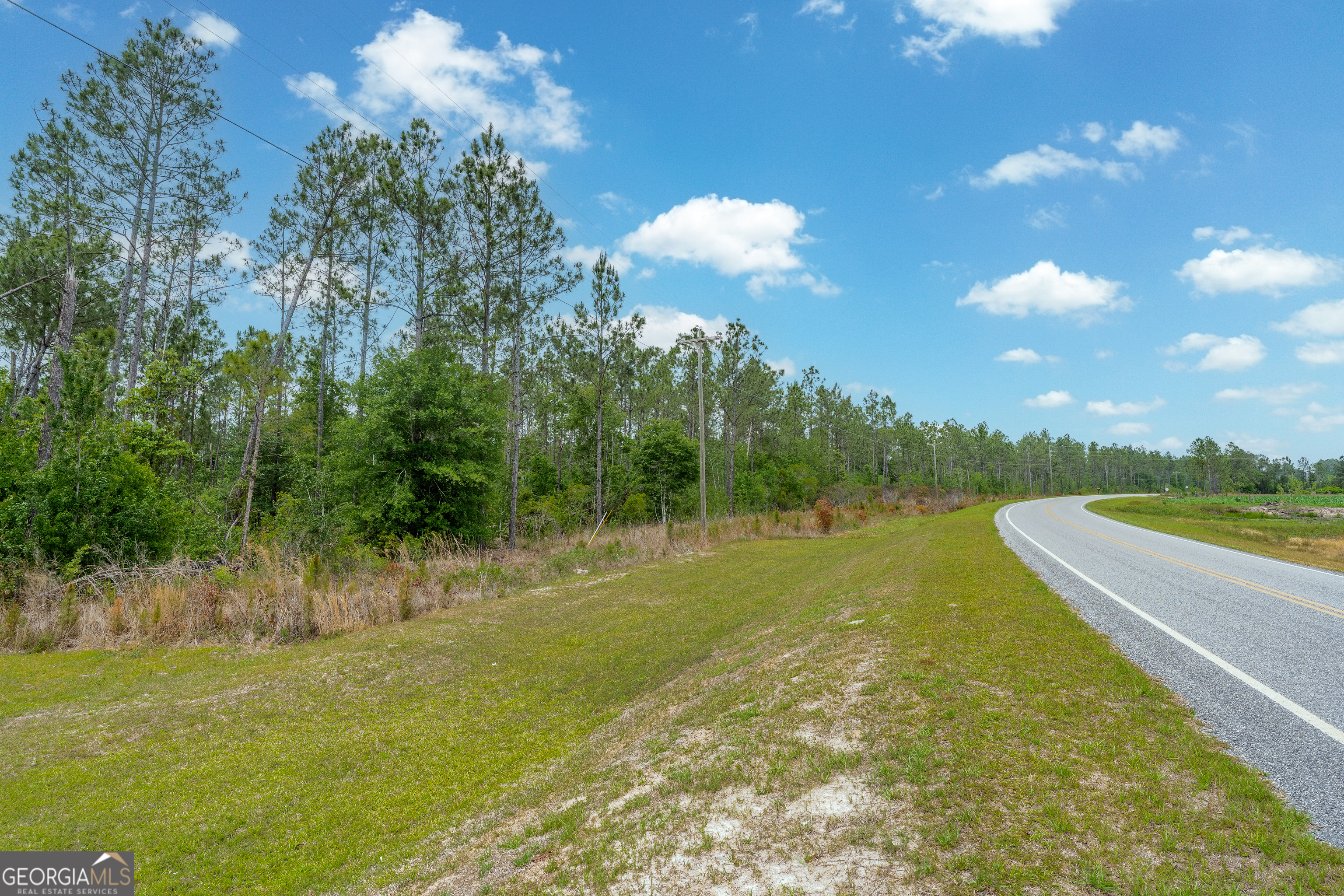 110 Lees Chapel Road Nicholls, GA 31554 - Photo 3 of 19